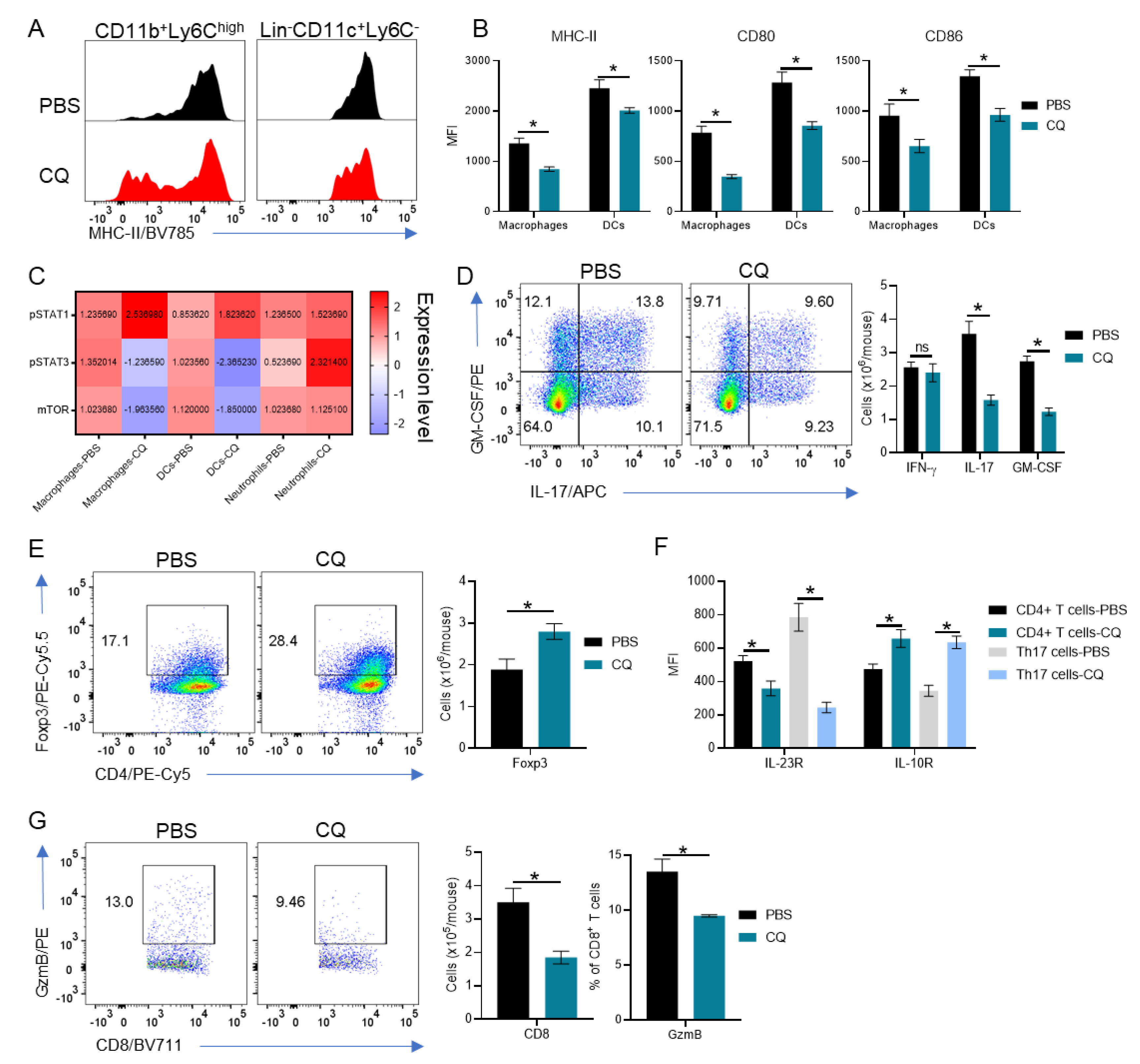 Brainsci 10 00348 g002