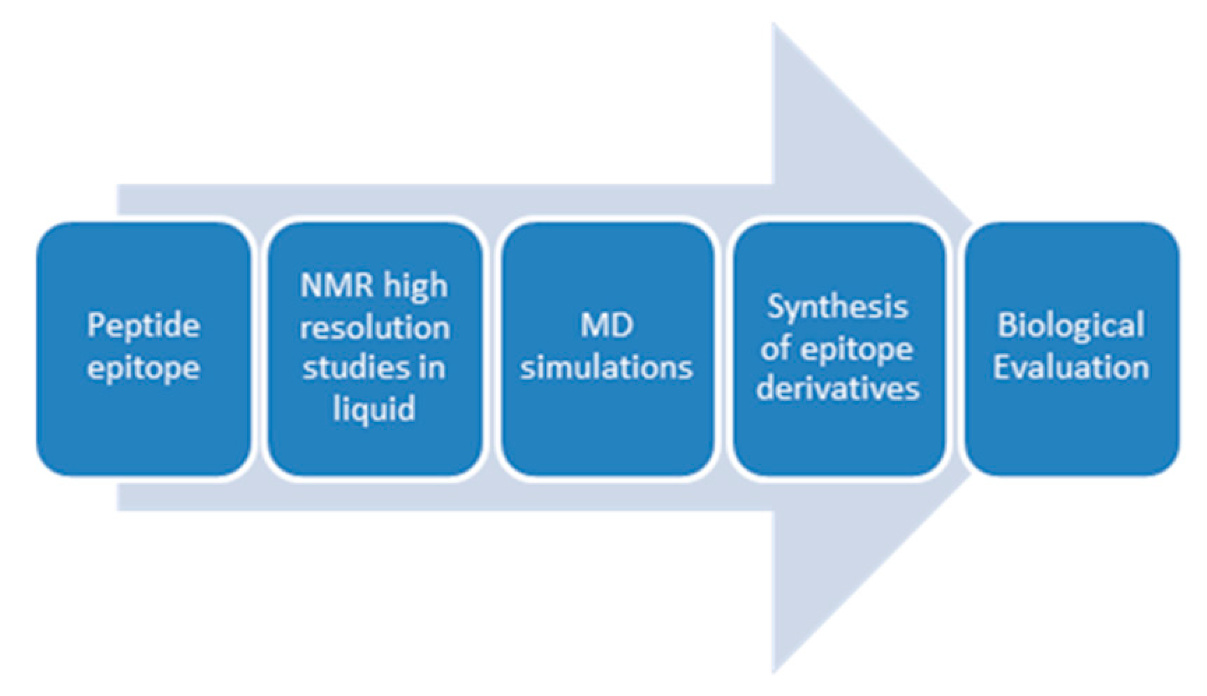 Этапы проекта. Общая схема предпринимательских действий. Перечислите начальные этапы предпринимательской деятельности. Перечислите начальные этапы предпринимательской деятельности. Этапы проекта.