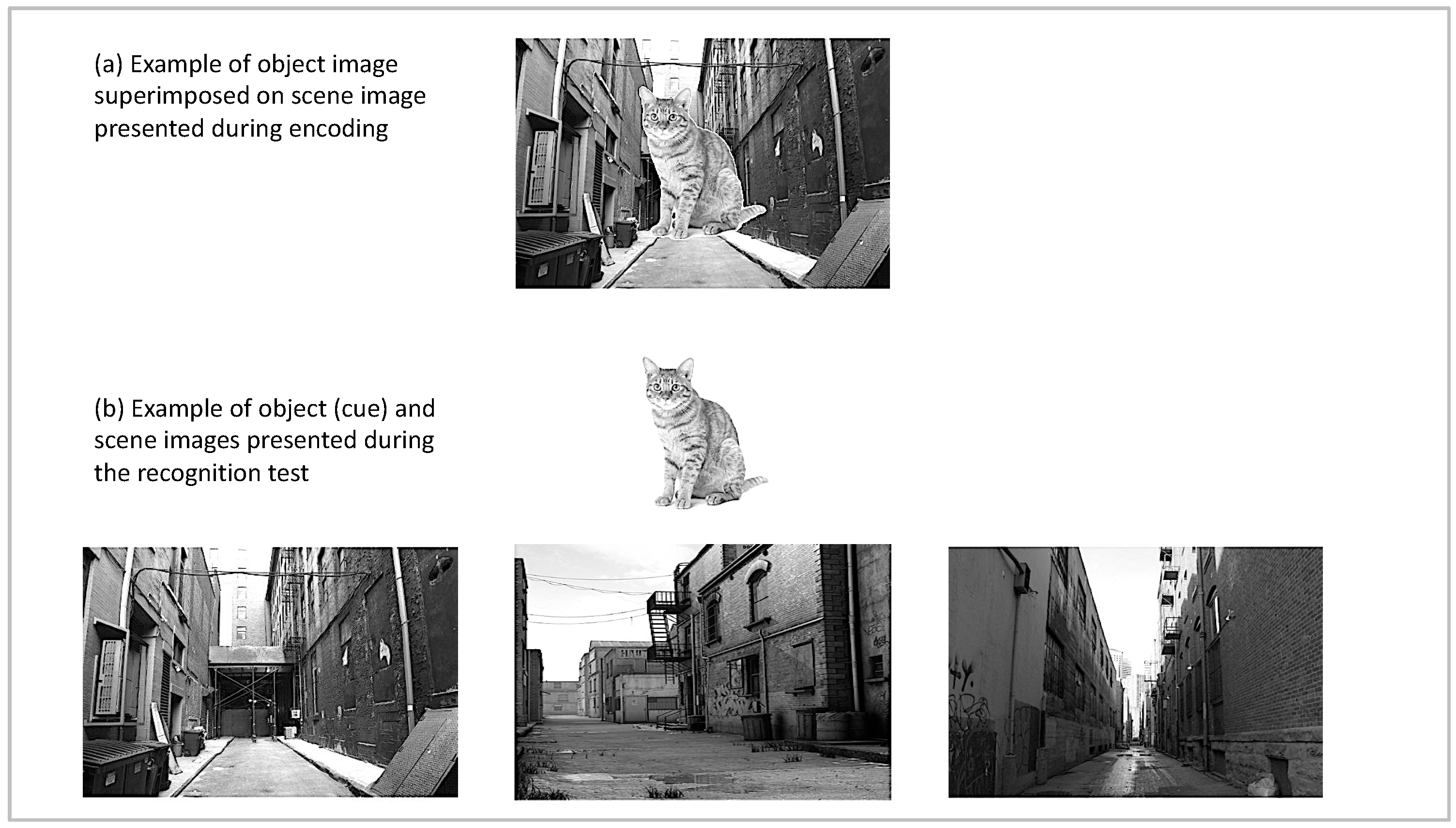 Brainsci 10 00358 g001 Brainsci 10 00358 g001