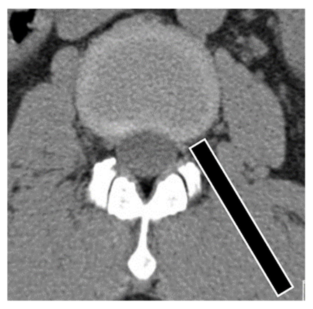Brainsci 10 00363 g002