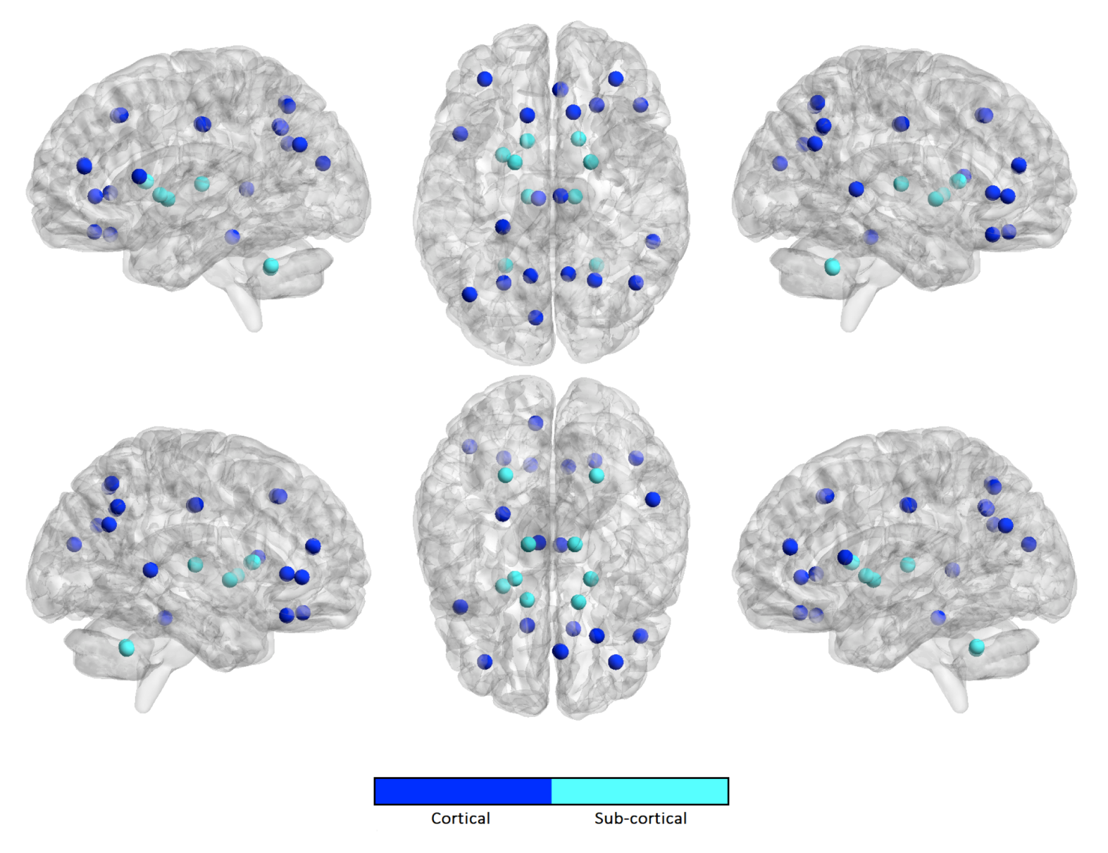 Brainsci 10 00364 g005