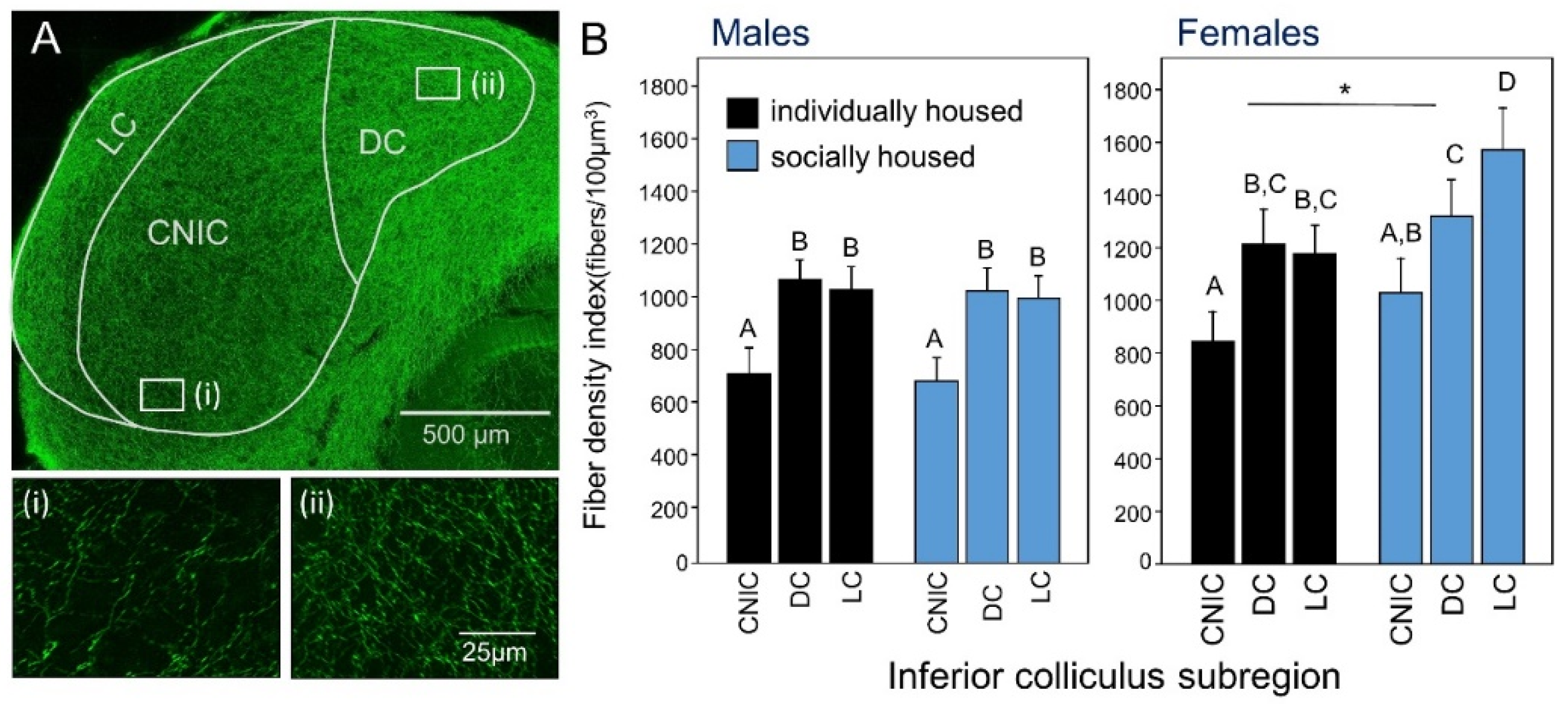 Brain Sciences Free Full Text Silence Solitude And Serotonin Neural Mechanisms Linking Hearing Loss And Social Isolation Html