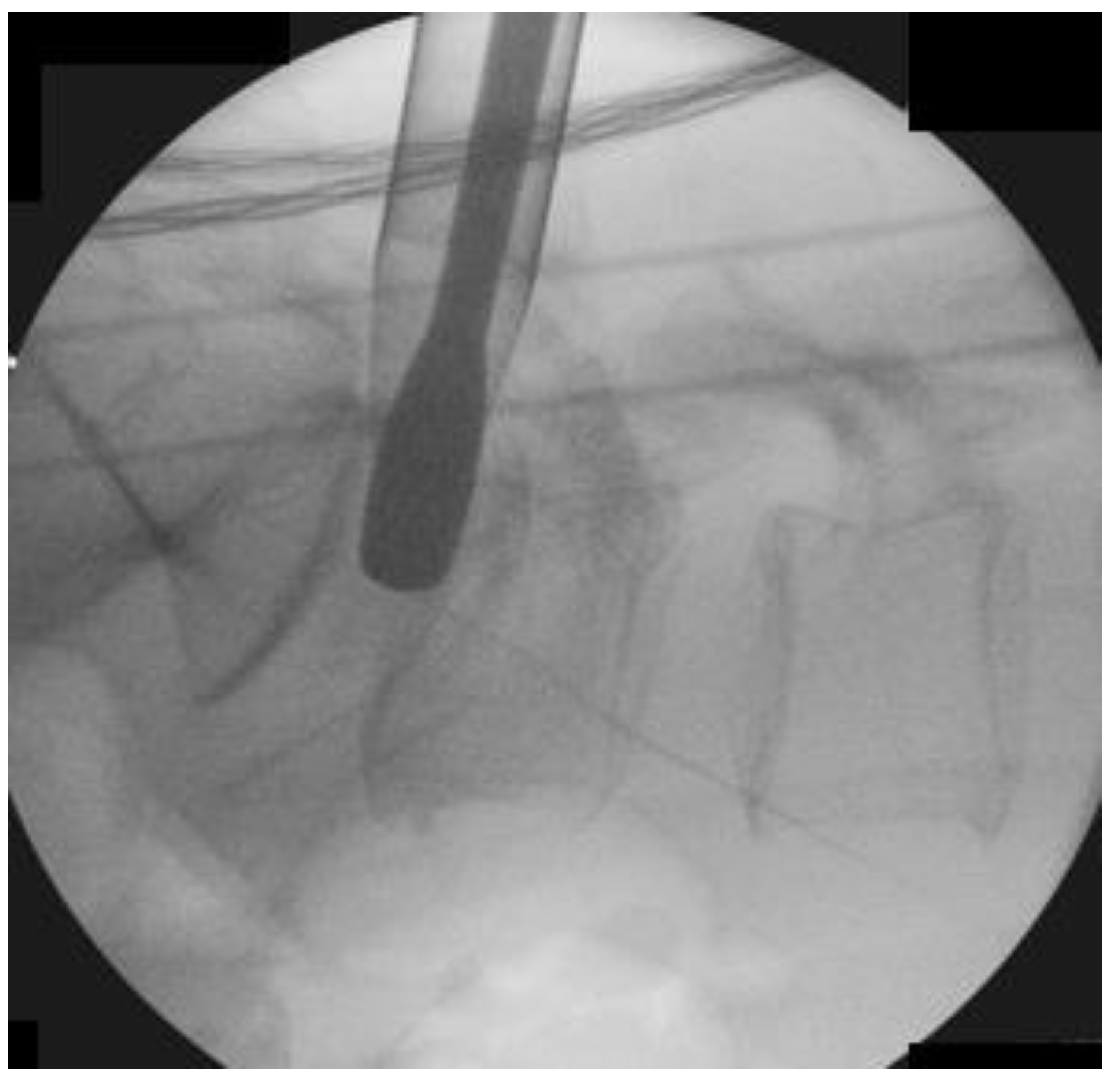 Brainsci 10 00373 g009