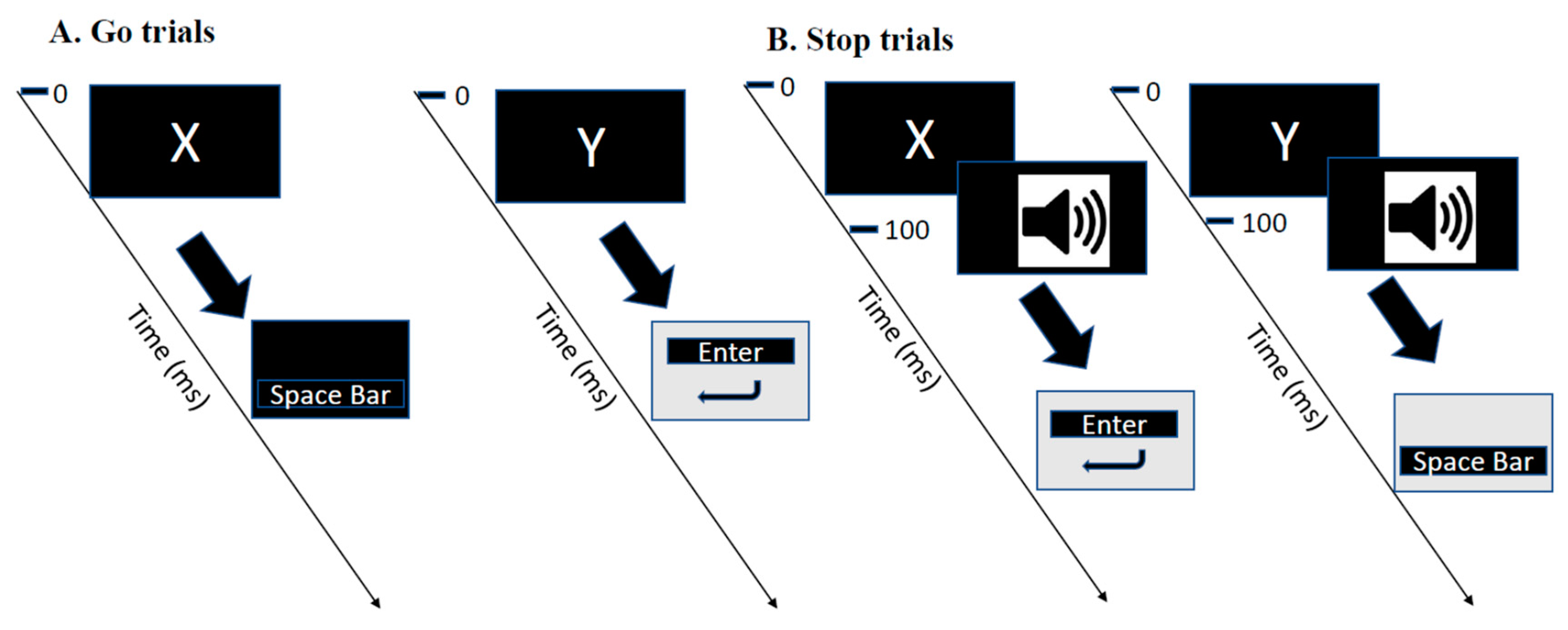 Brainsci 10 00388 g002