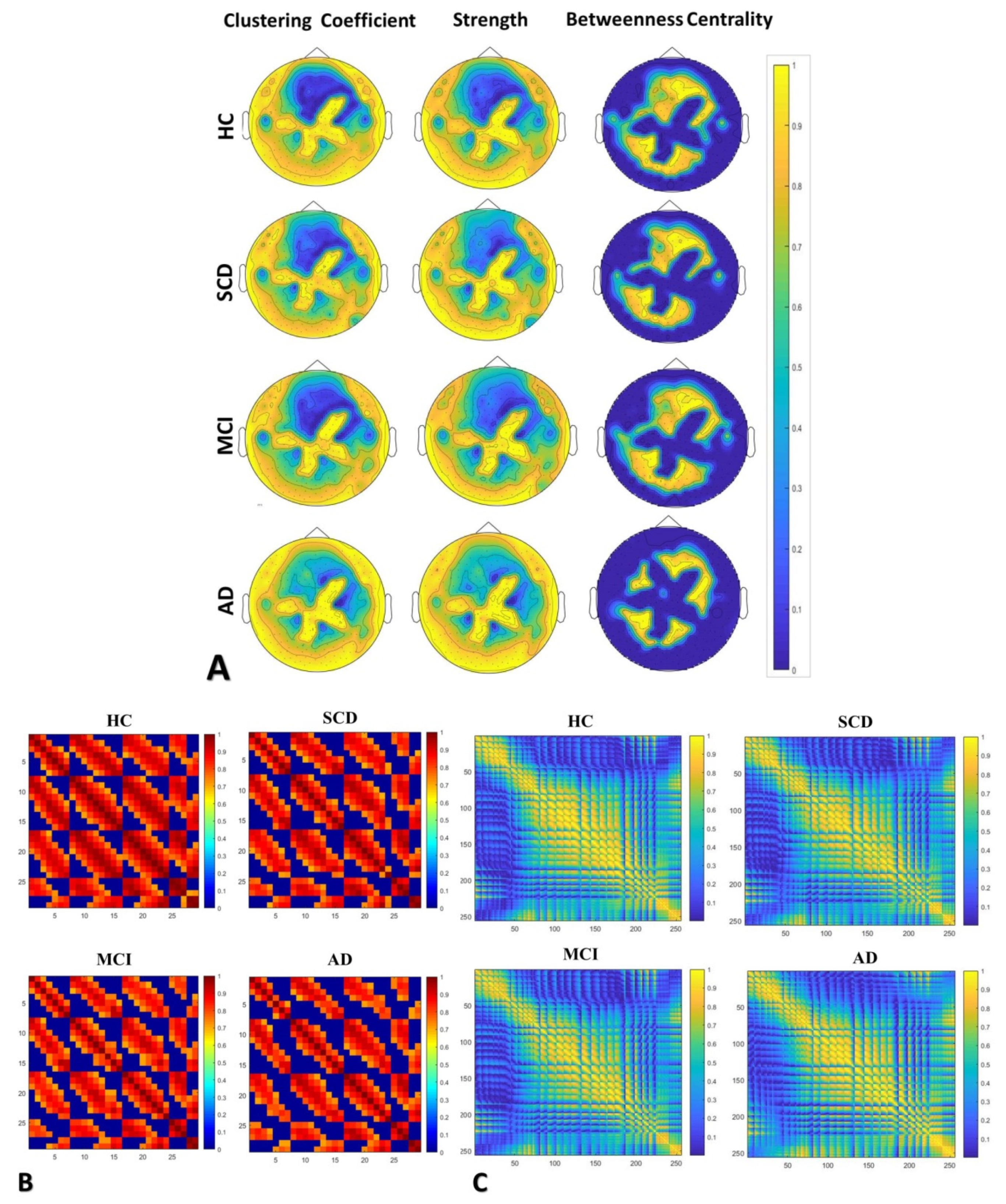 Brainsci 10 00392 g002 Brainsci 10 00392 g002
