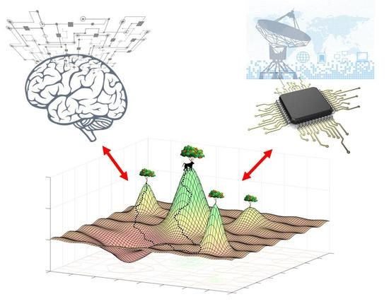 Brain Sciences Free Full Text Multiscale Computation And Dynamic Attention In Biological And Artificial Intelligence Html