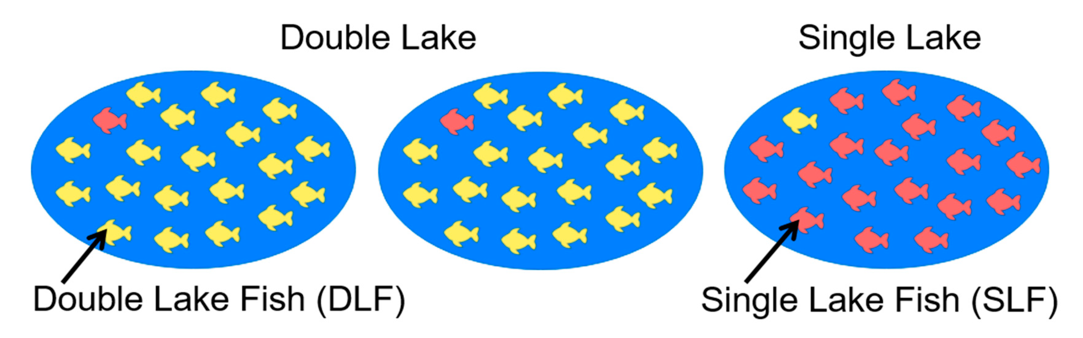 Brainsci 10 00404 g003
