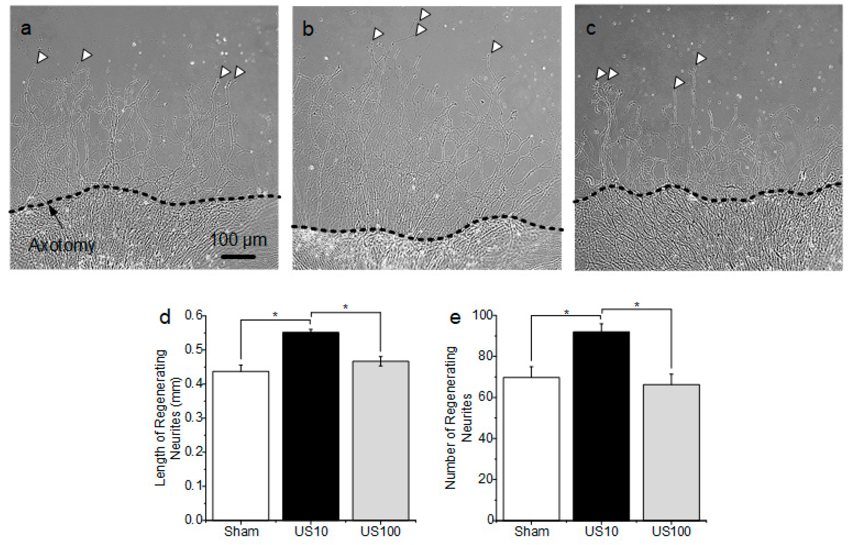 Brainsci 10 00409 g003