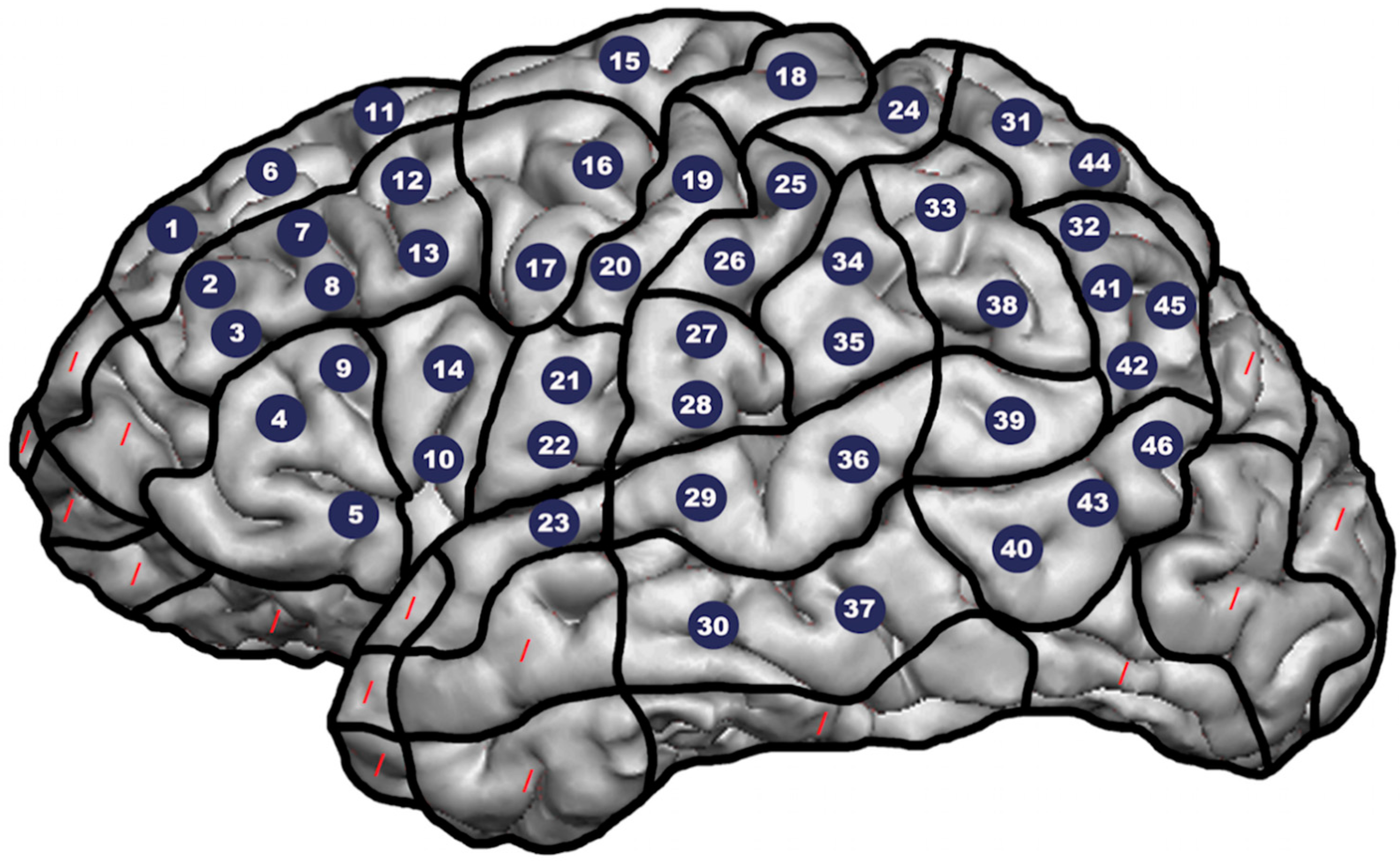 Brainsci 10 00412 g001 Brainsci 10 00412 g001