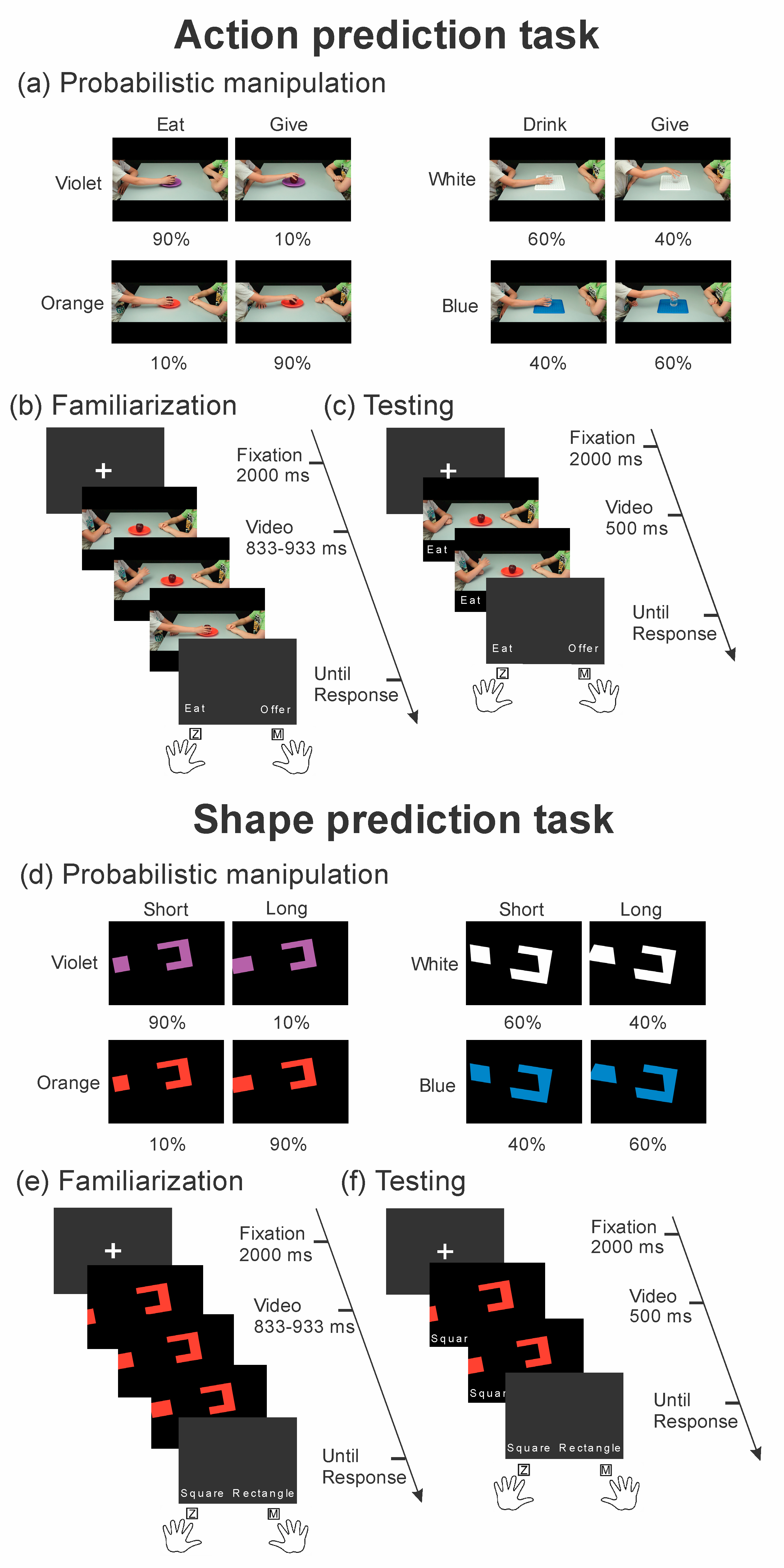 Brainsci 10 00418 g001 Brainsci 10 00418 g001