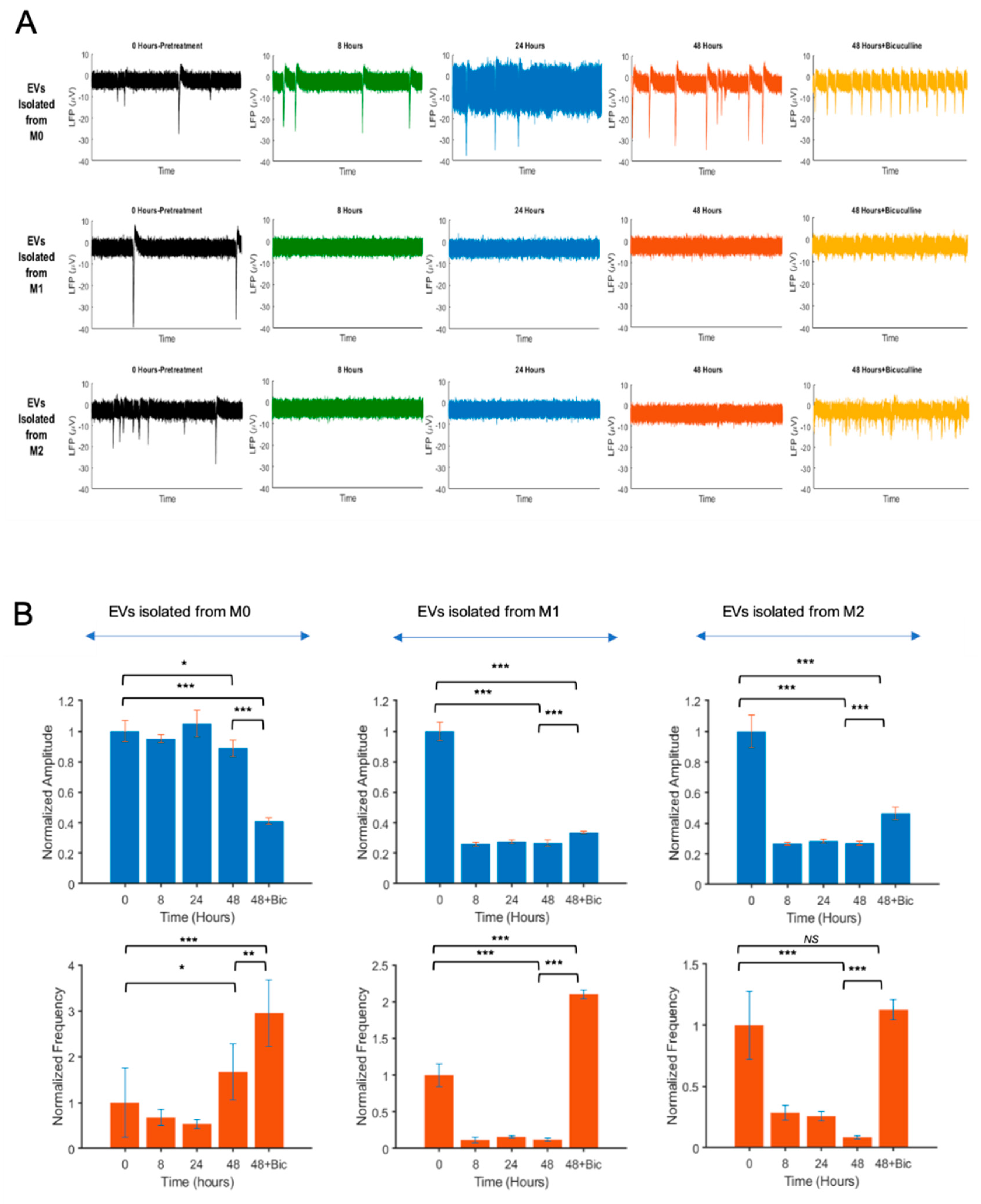 Brainsci 10 00424 g005