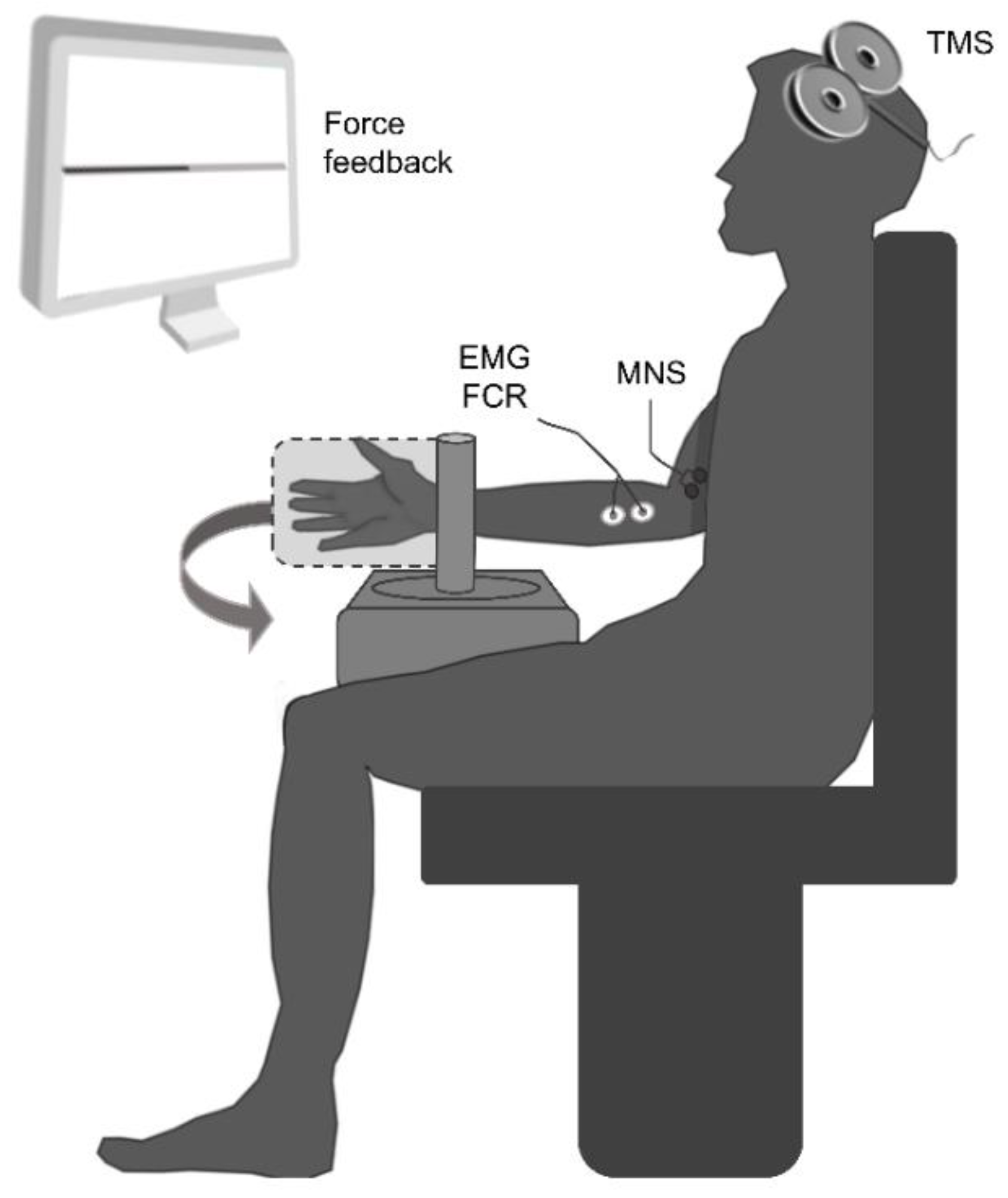 Brainsci 10 00433 g001 Brainsci 10 00433 g001