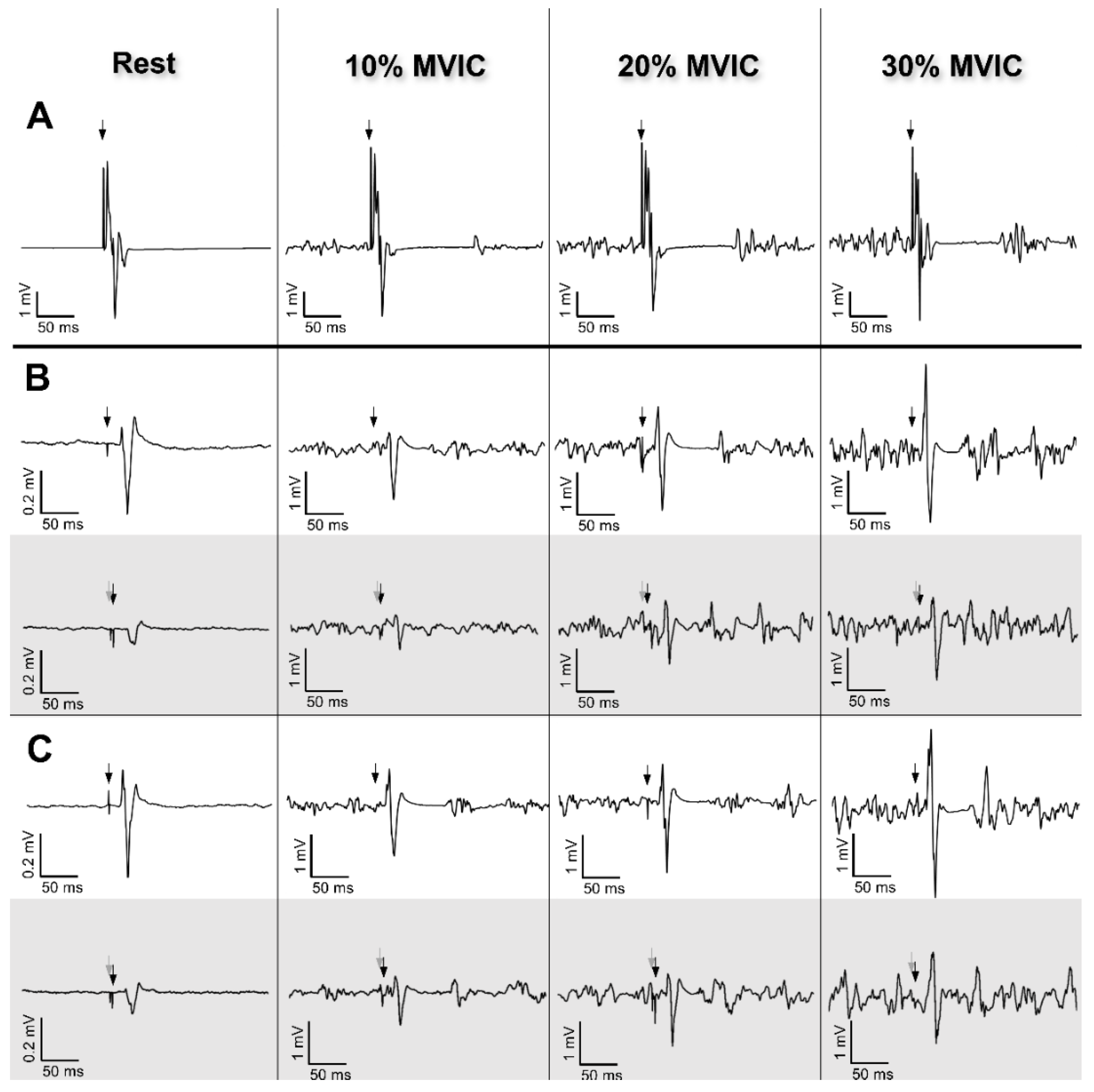 Brainsci 10 00433 g002 Brainsci 10 00433 g002