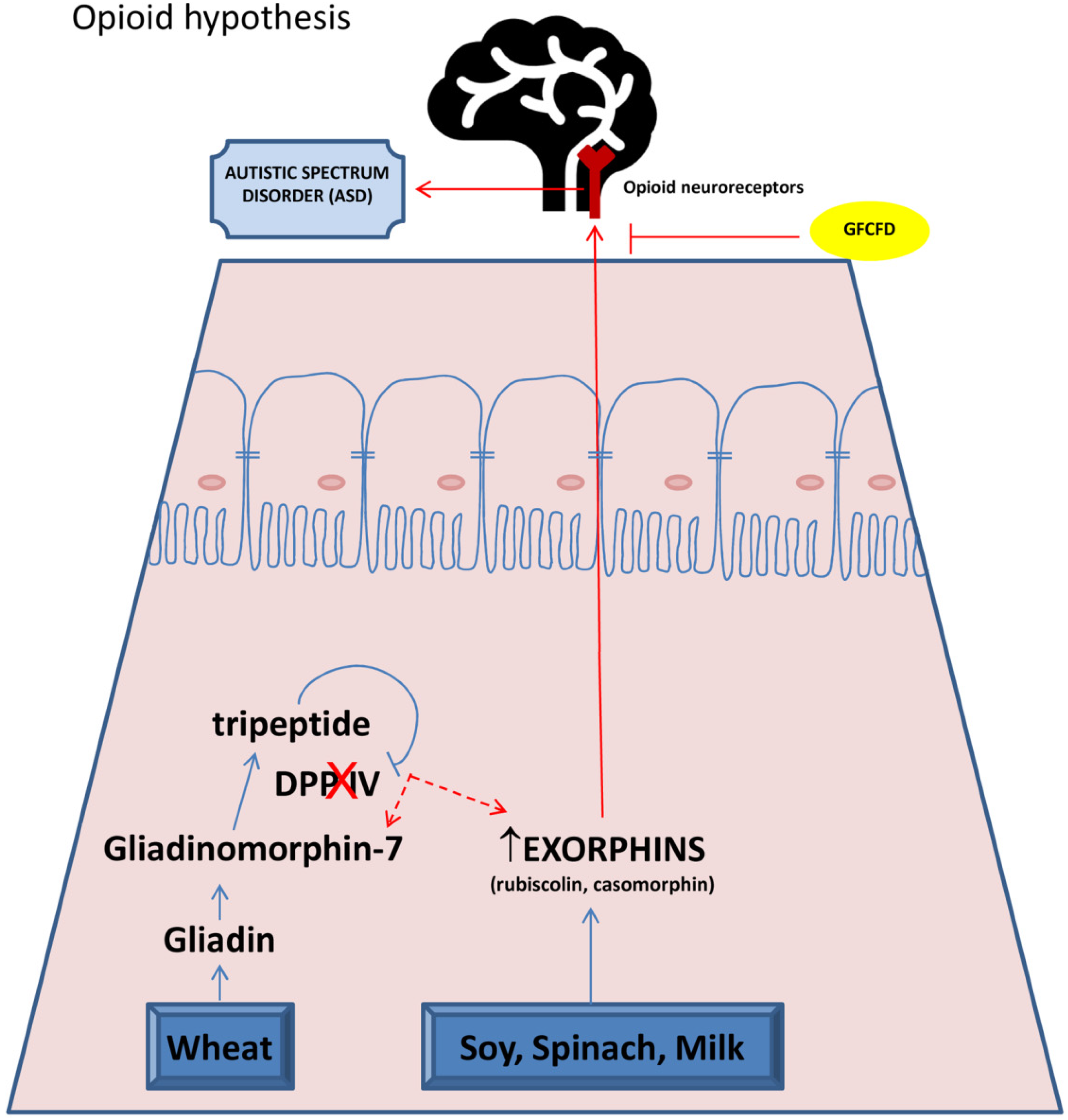 Brainsci 10 00437 g001 Brainsci 10 00437 g001
