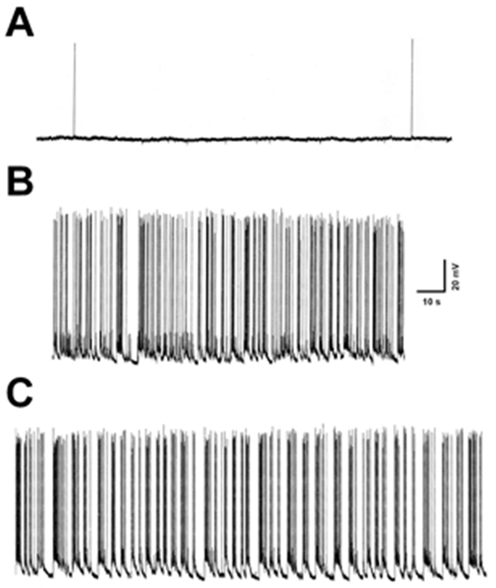 Brainsci 10 00438 g001