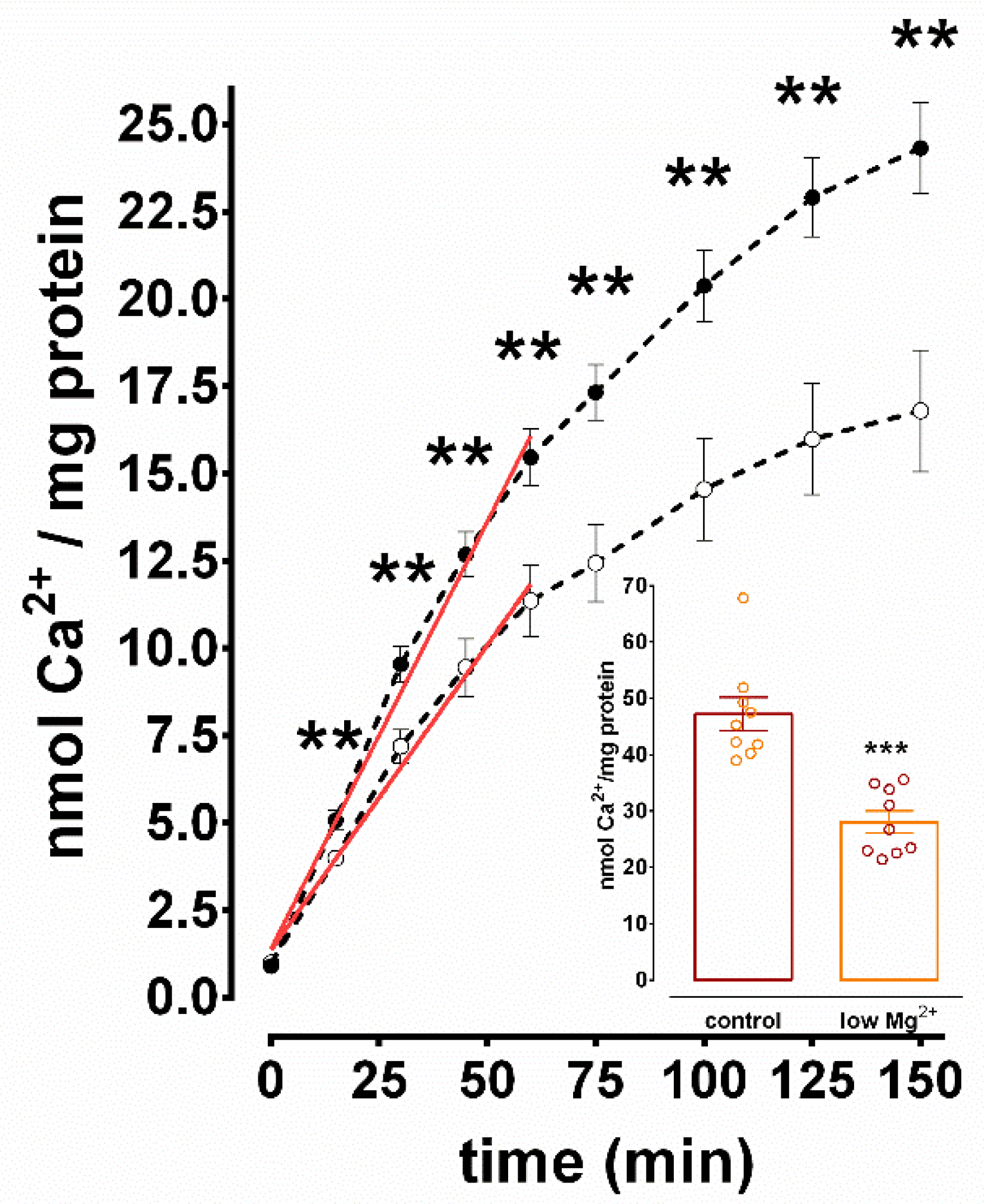 Brainsci 10 00438 g002
