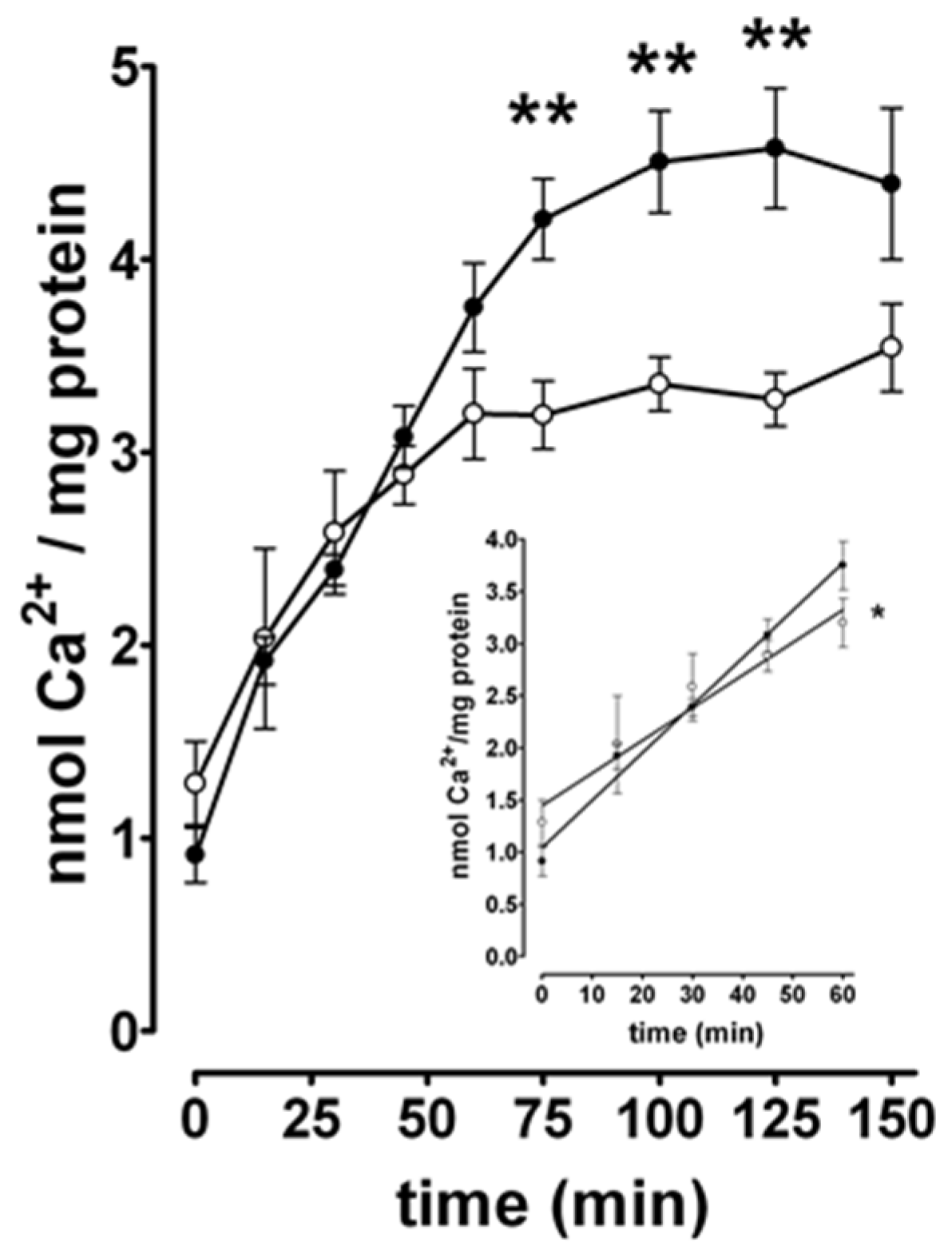Brainsci 10 00438 g004
