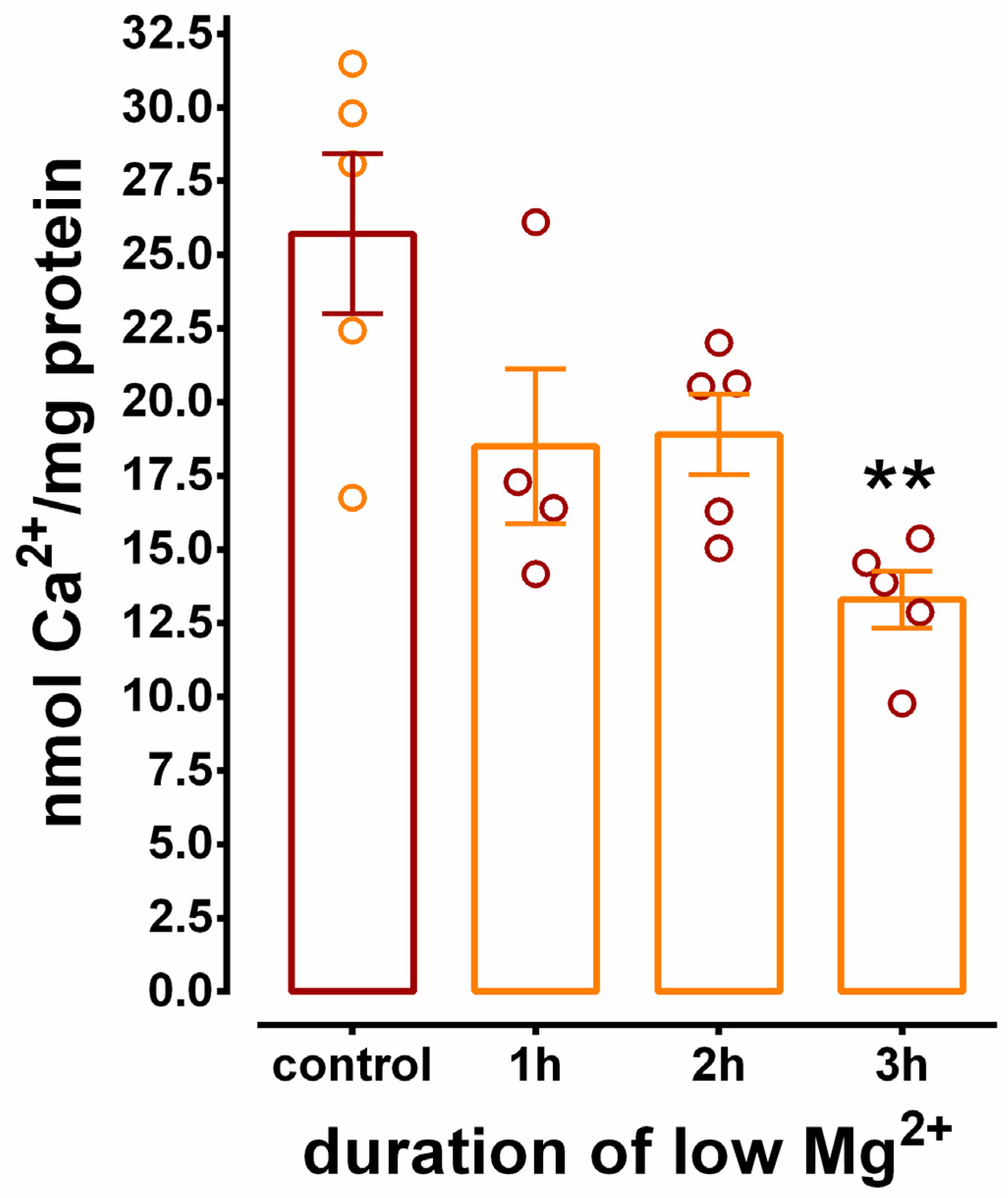 Brainsci 10 00438 g005