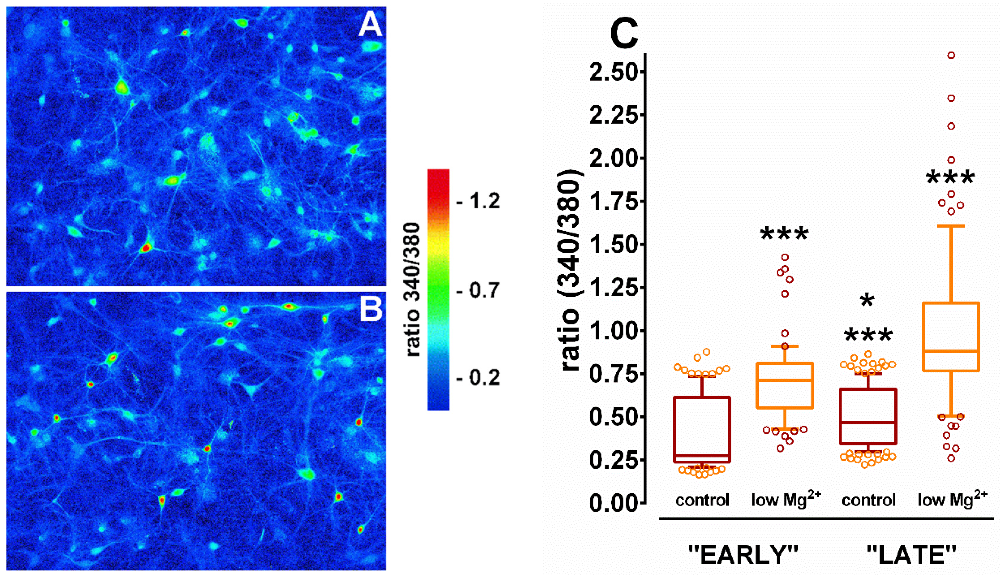Brainsci 10 00438 g006