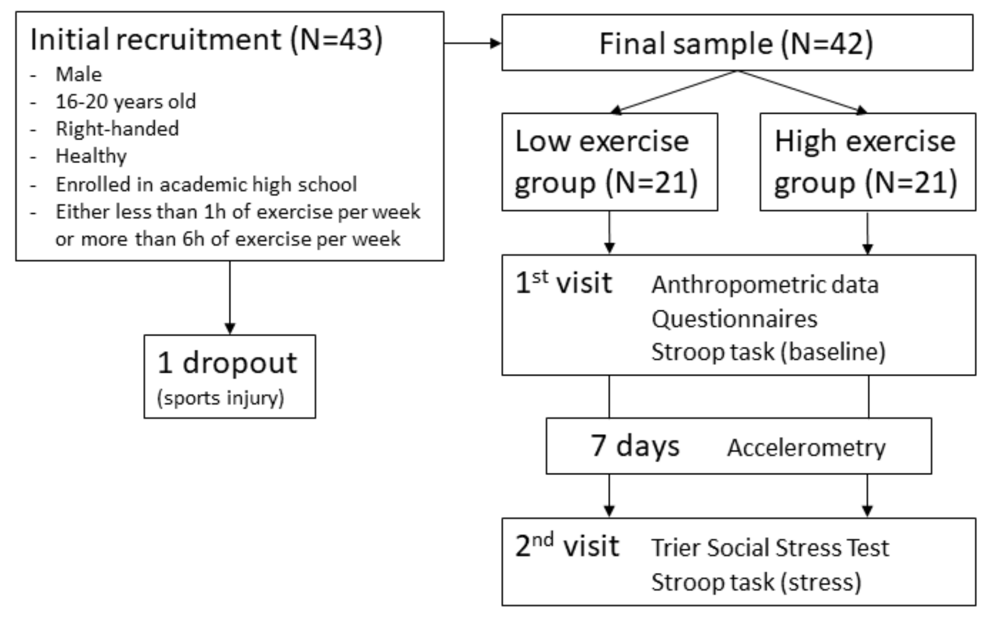 Brainsci 10 00439 g001