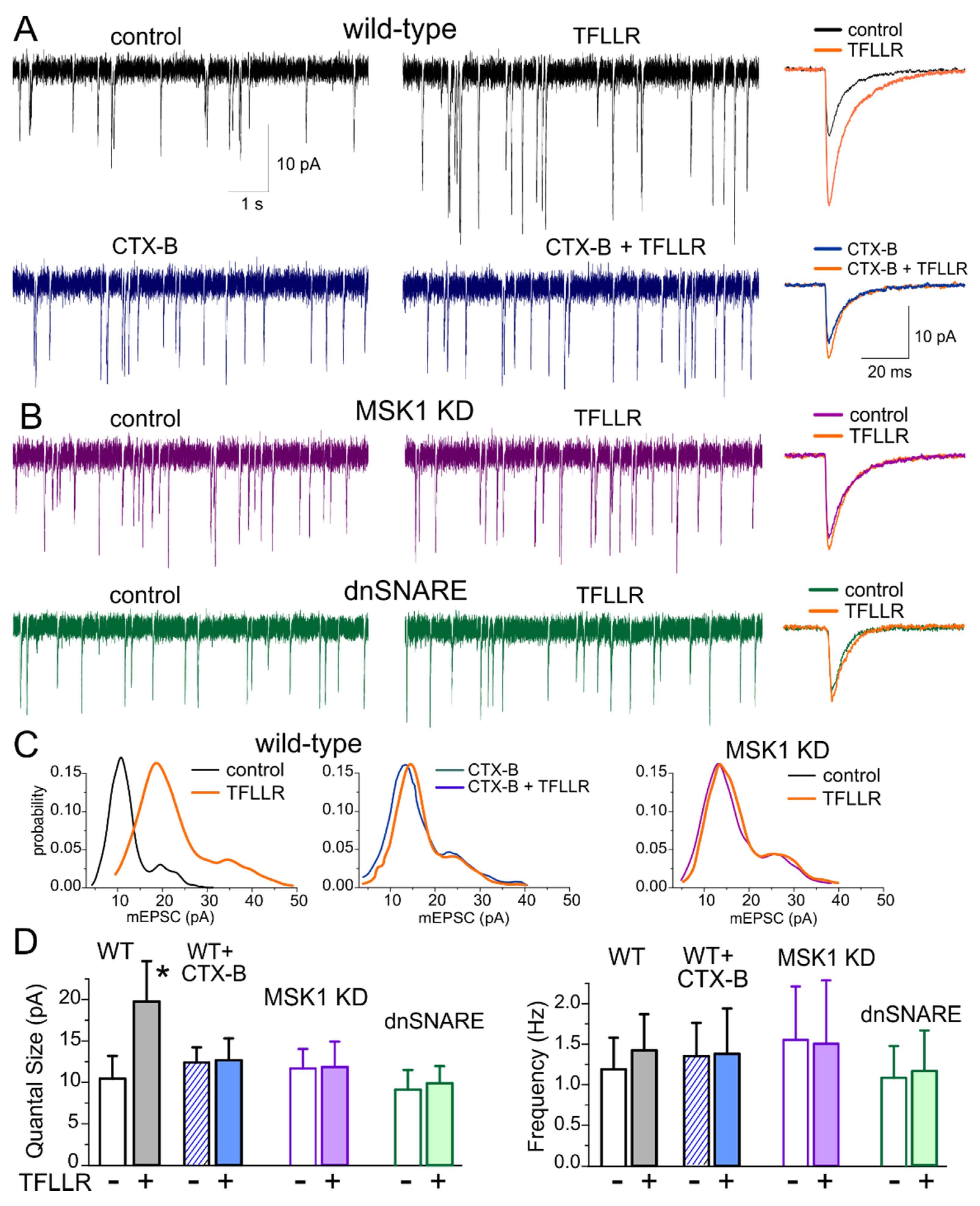 Brainsci 10 00462 g001 Brainsci 10 00462 g001