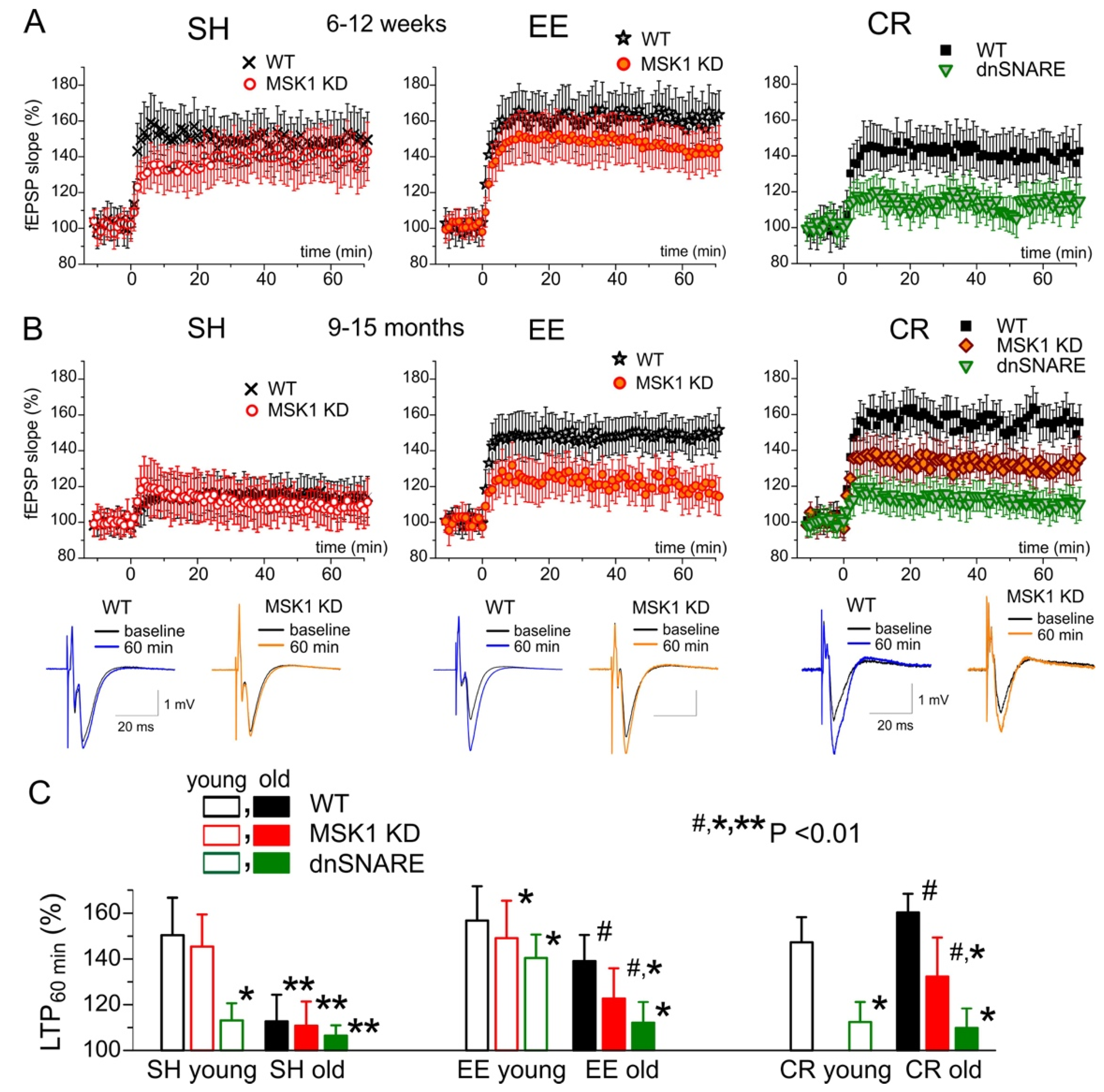 Brainsci 10 00462 g006 Brainsci 10 00462 g006