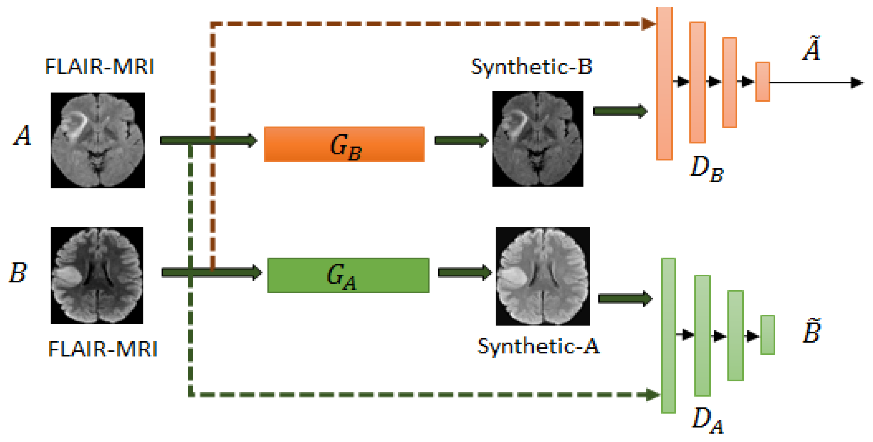 Brainsci 10 00463 g002
