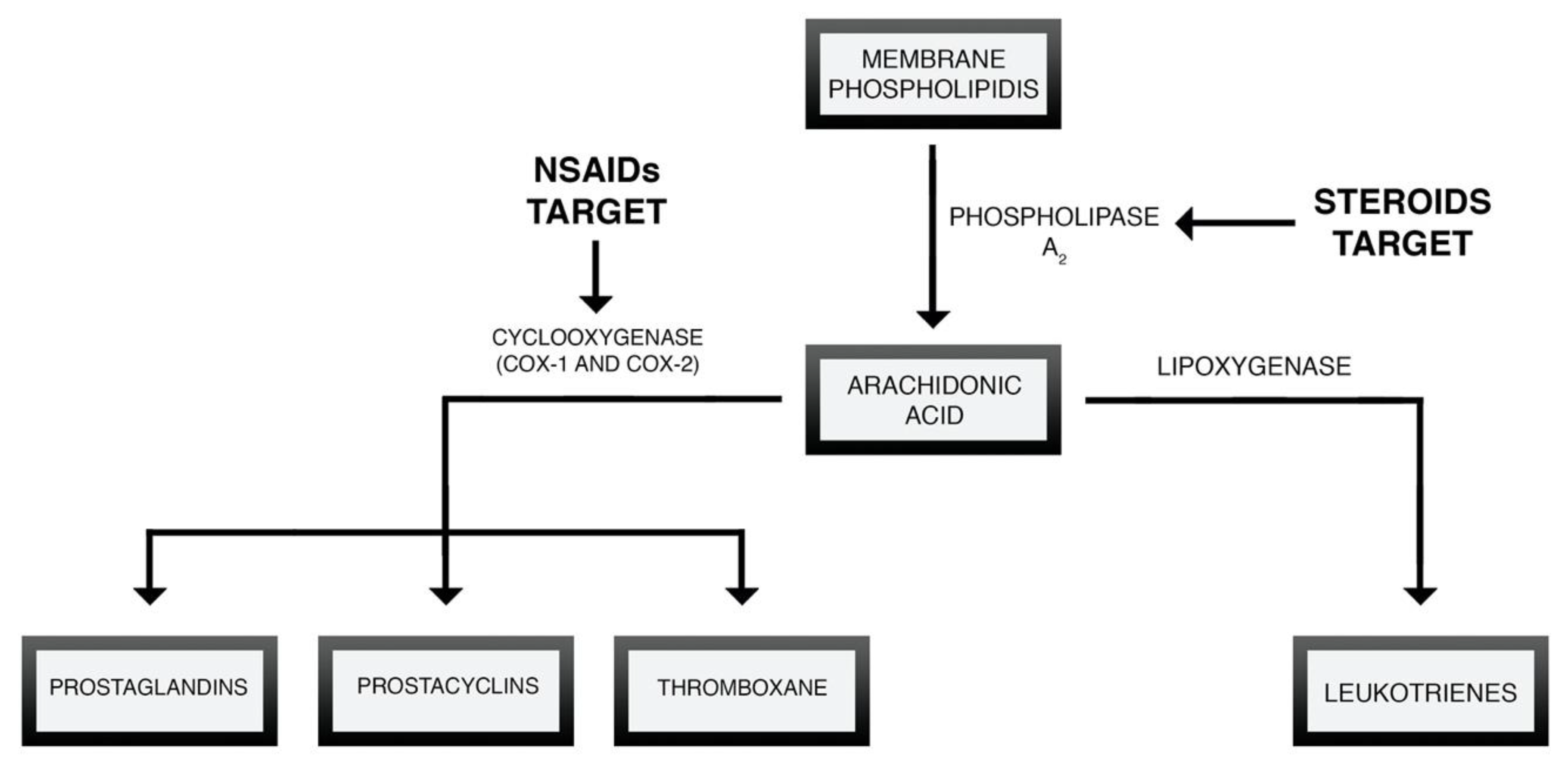 Brainsci 10 00465 g003 Brainsci 10 00465 g003