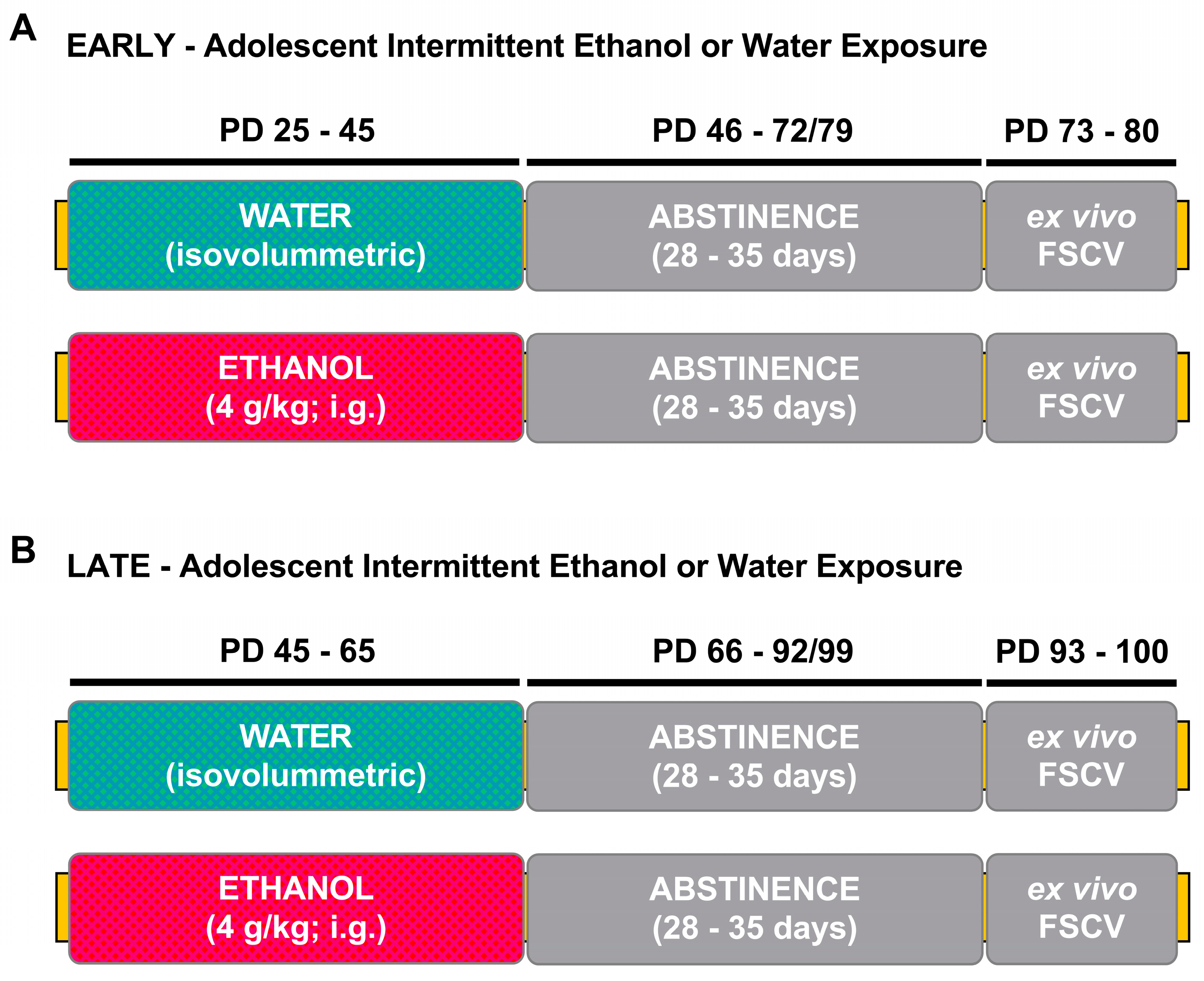 Brainsci 10 00472 g001 Brainsci 10 00472 g001