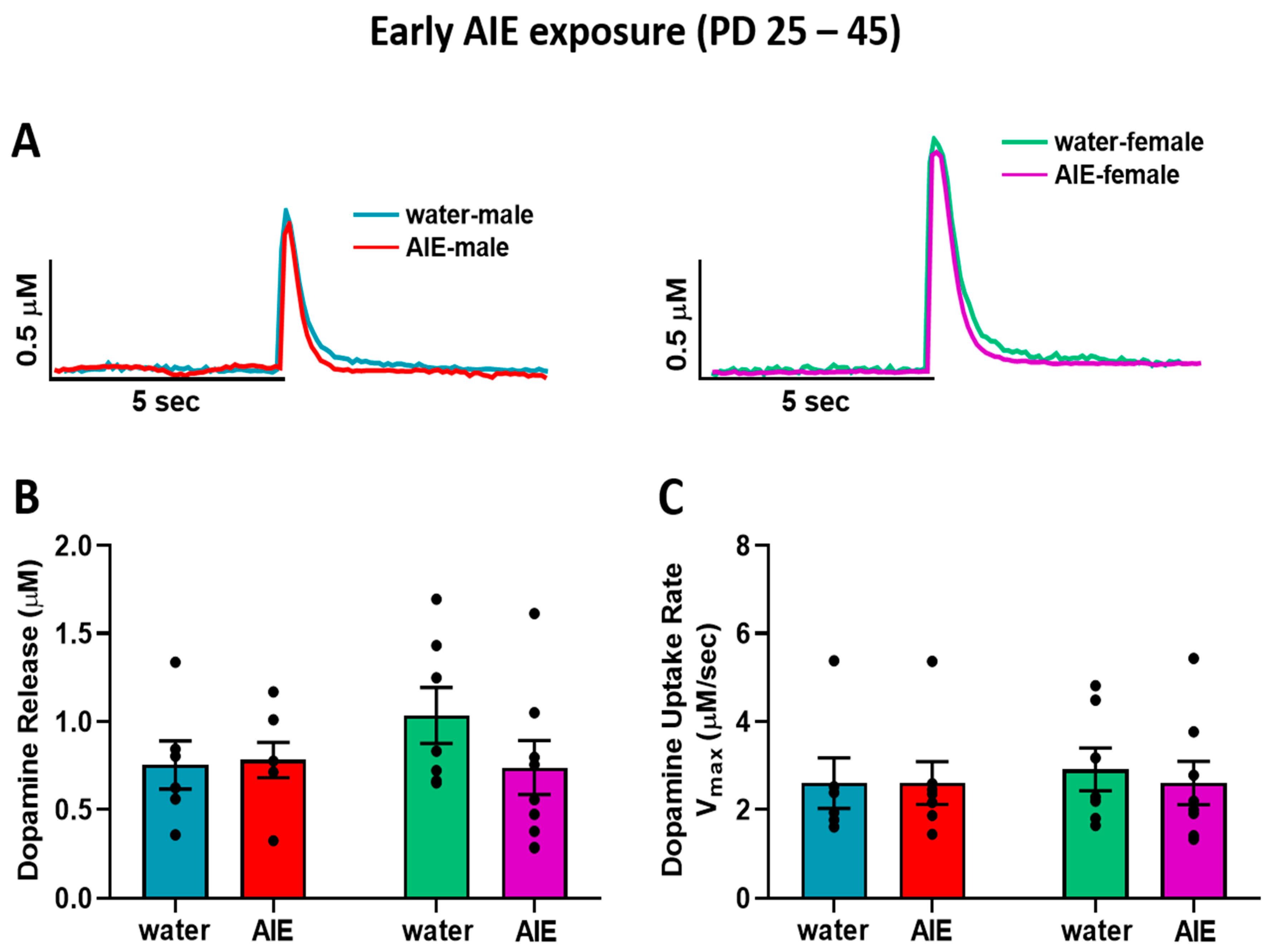 Brainsci 10 00472 g002 Brainsci 10 00472 g002