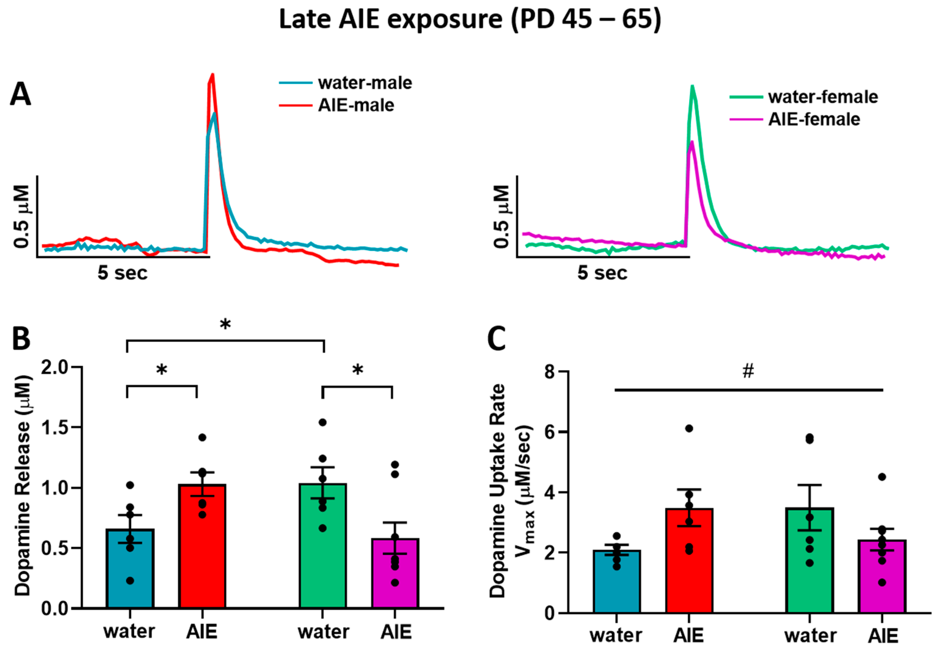 Brainsci 10 00472 g003 Brainsci 10 00472 g003