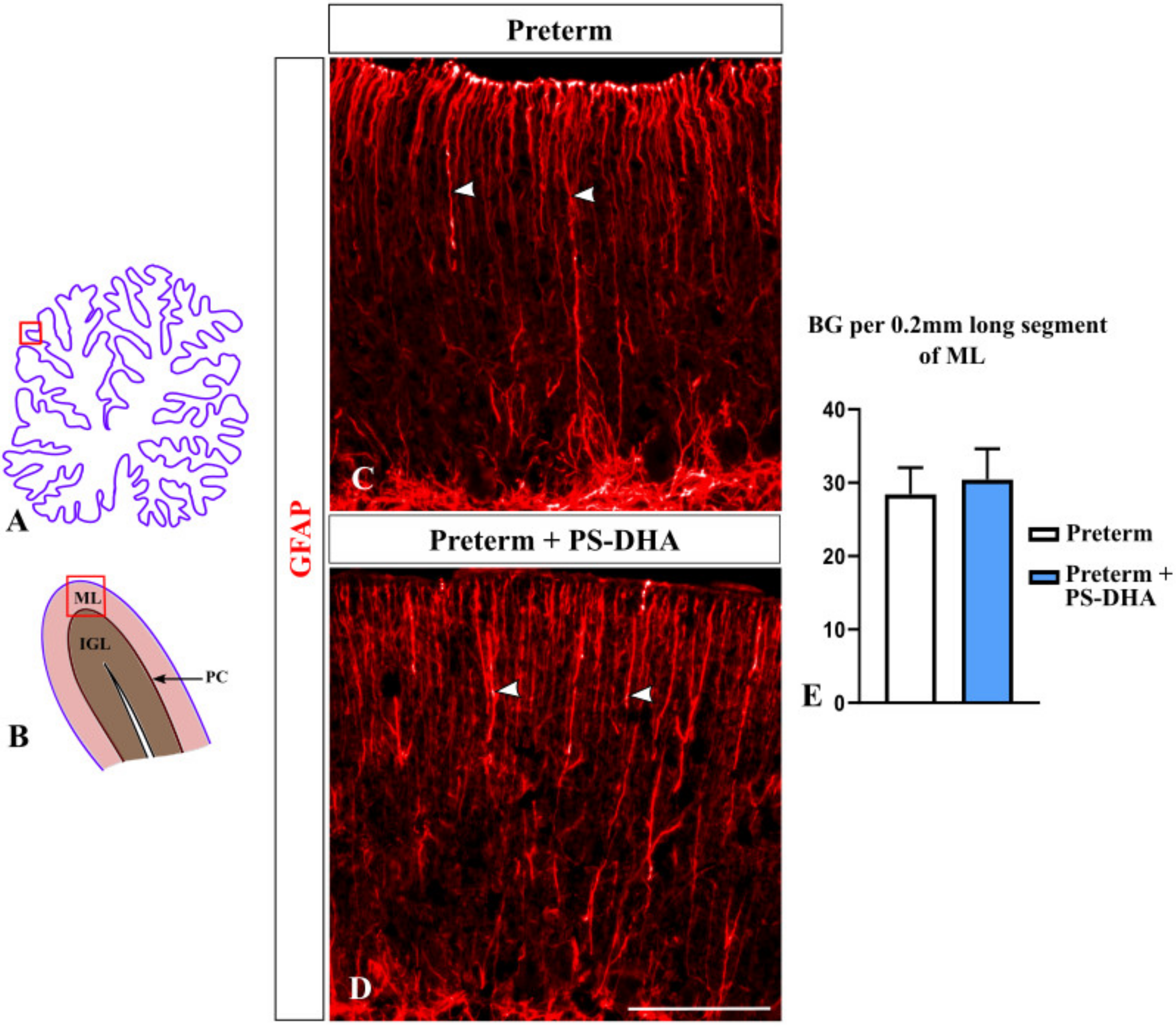 Brainsci 10 00475 g005