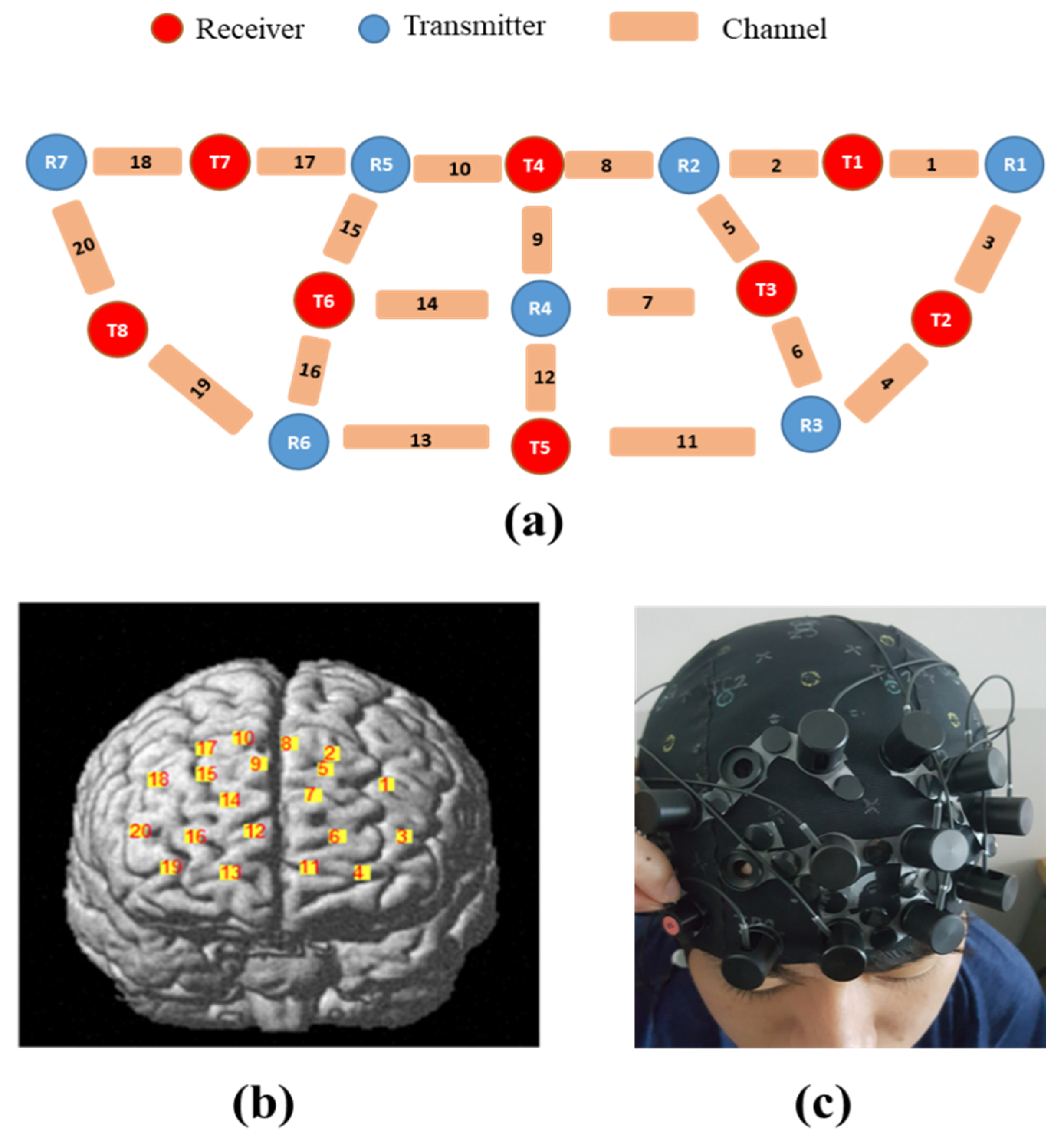 Brainsci 10 00484 g003