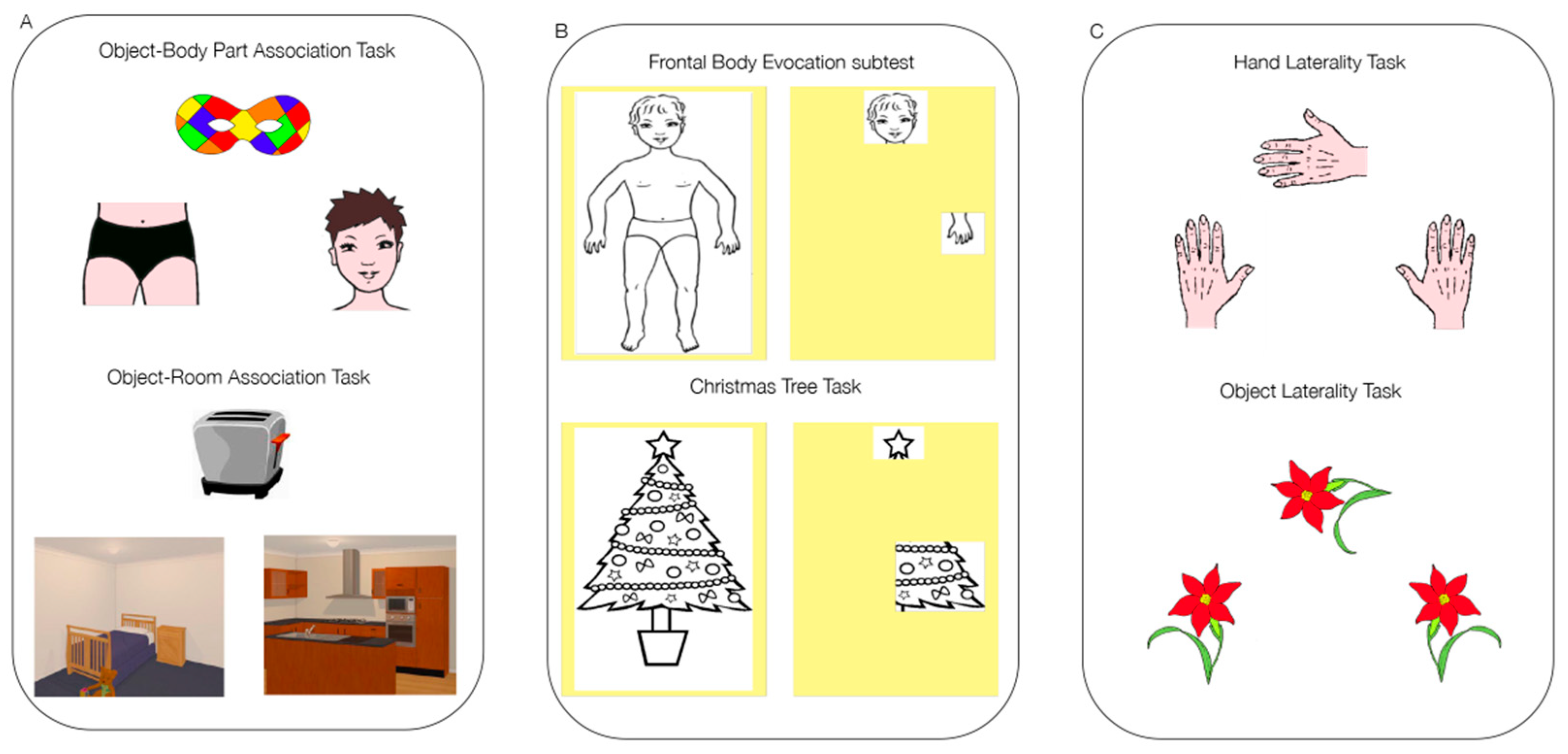 Brainsci 10 00490 g001