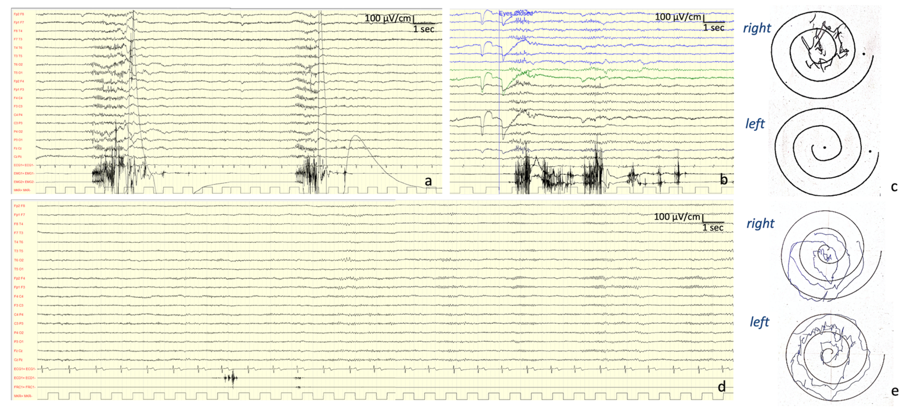 Brainsci 10 00506 g002