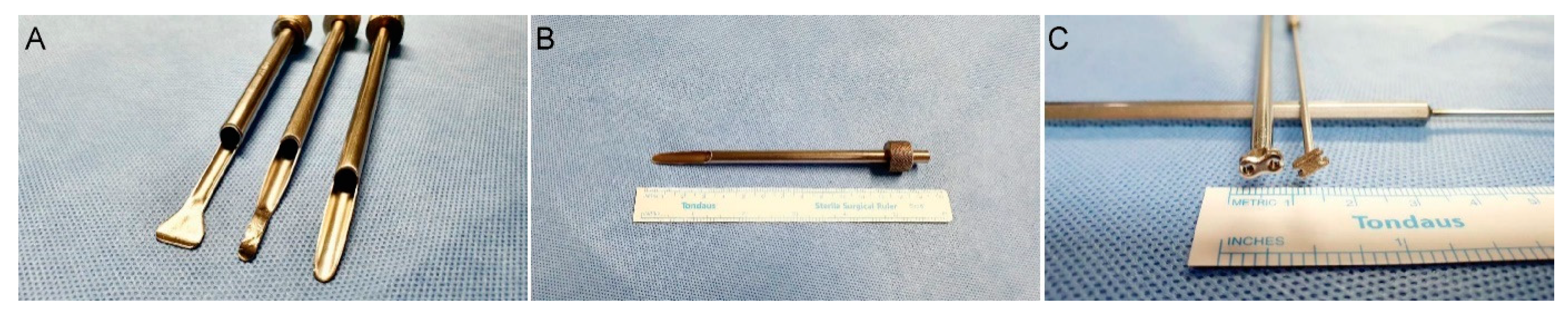 Brainsci 10 00516 g001