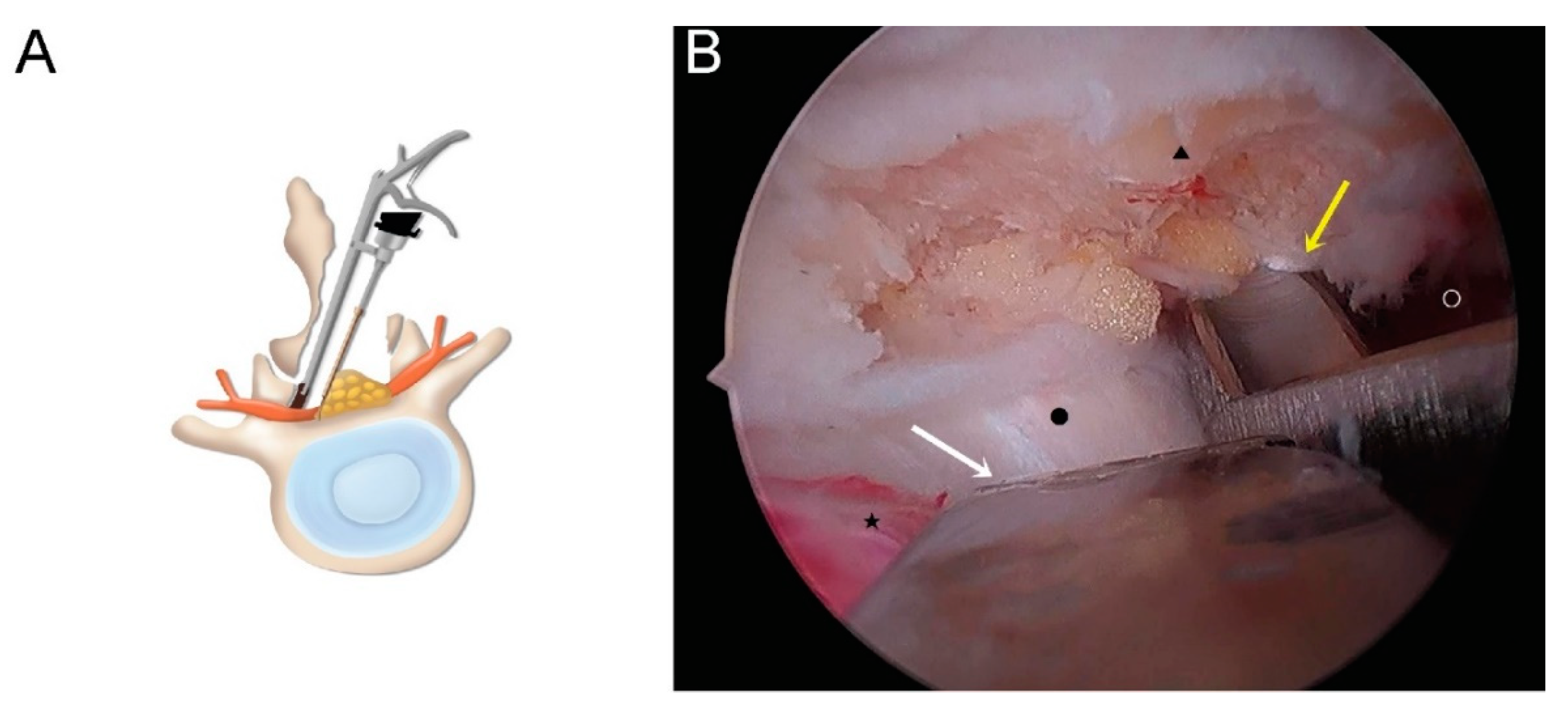 Brainsci 10 00516 g003