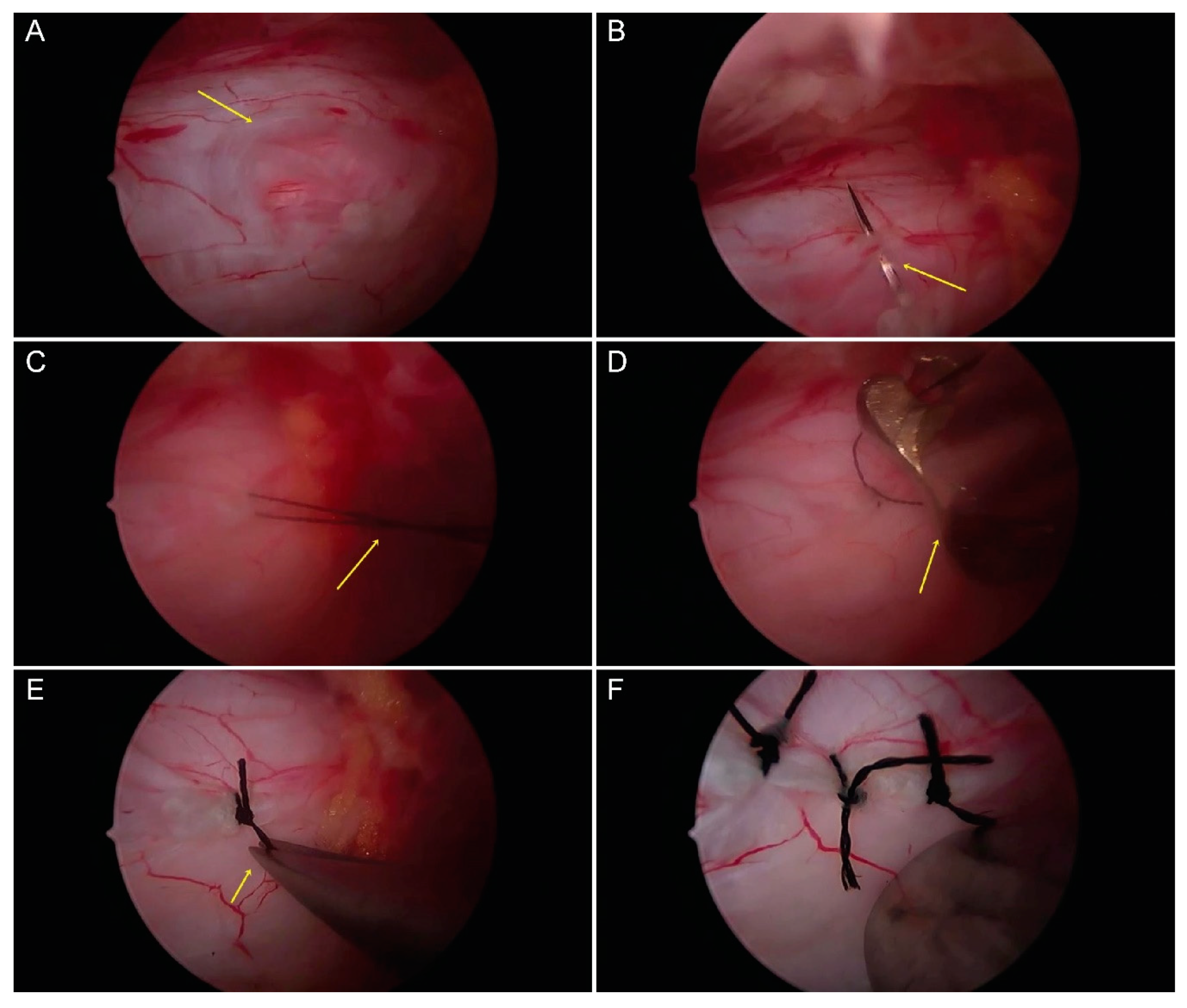 Brainsci 10 00516 g004