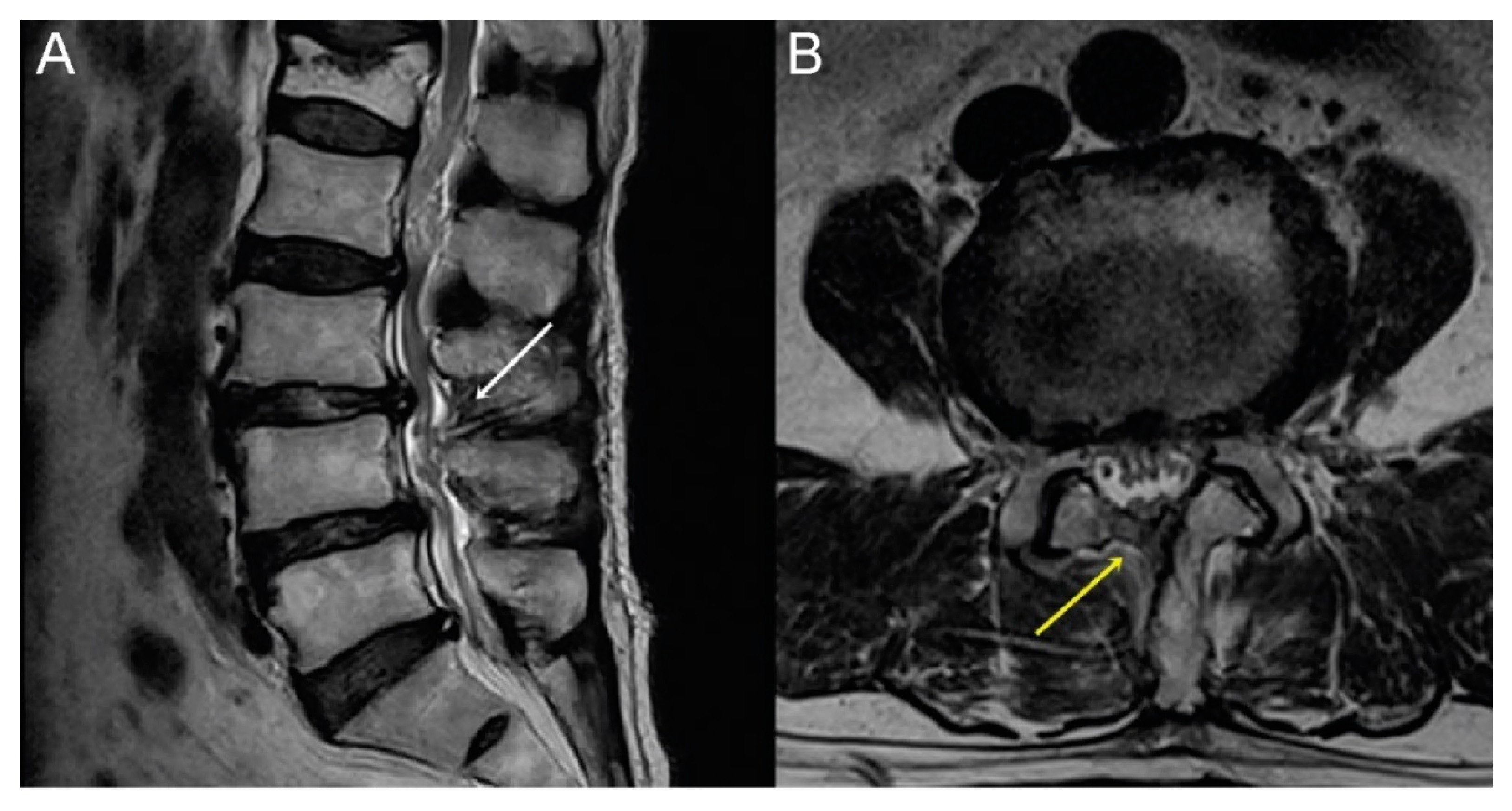 Brainsci 10 00516 g006