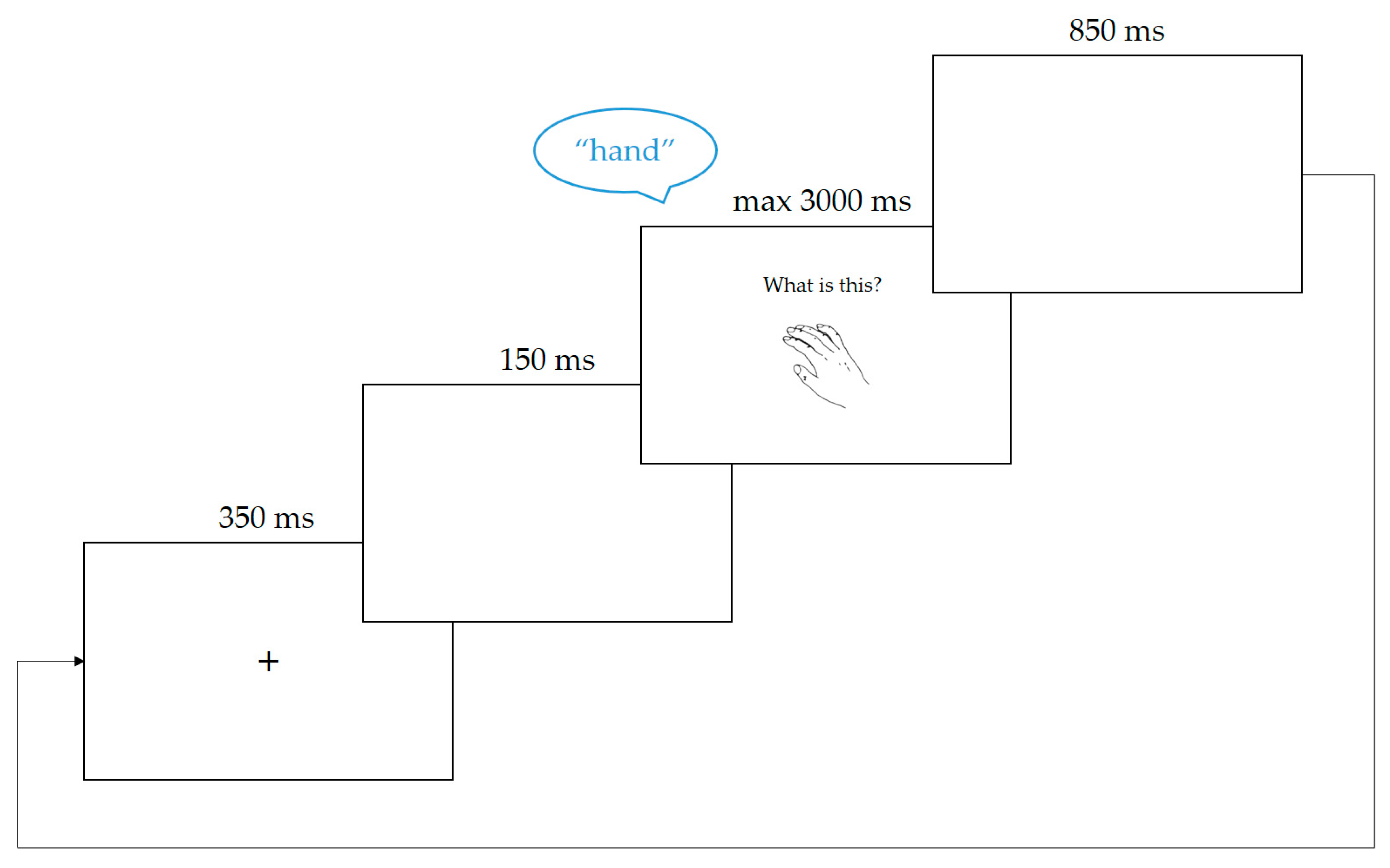Brainsci 10 00517 g003 Brainsci 10 00517 g003