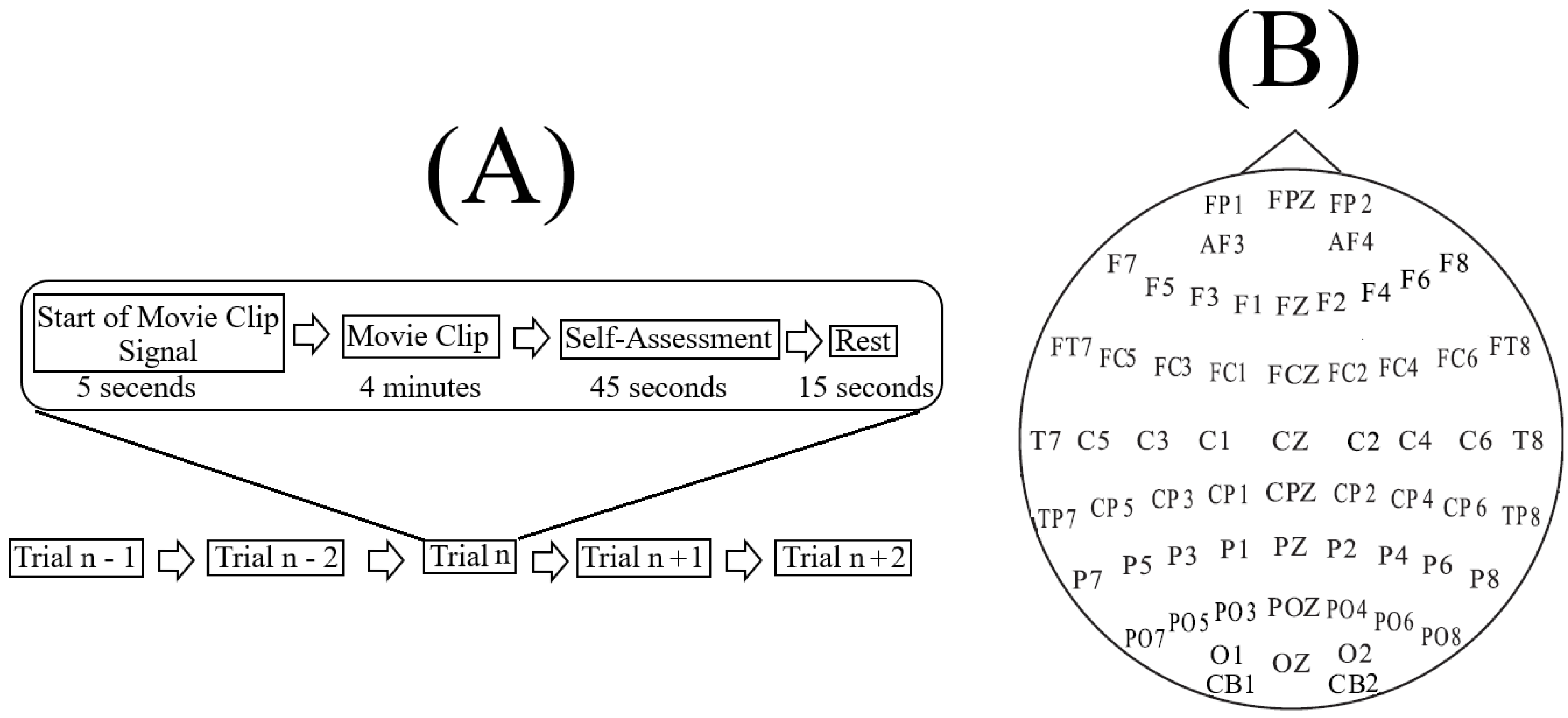 Brainsci 10 00527 g001