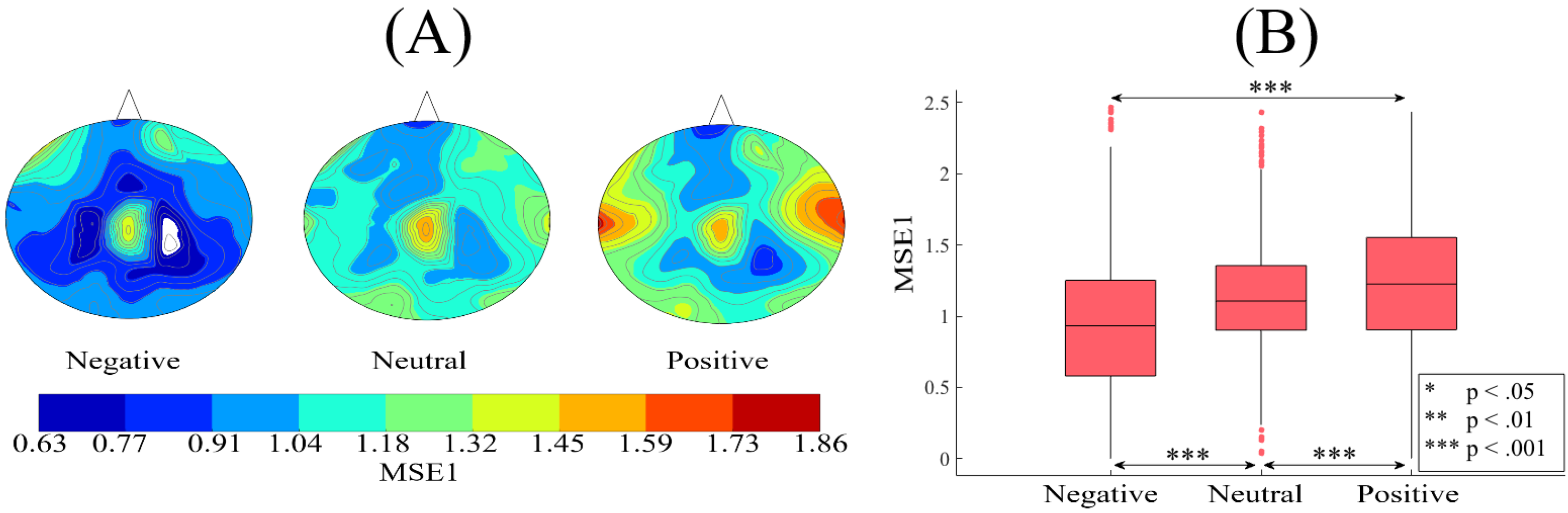 Brainsci 10 00527 g005