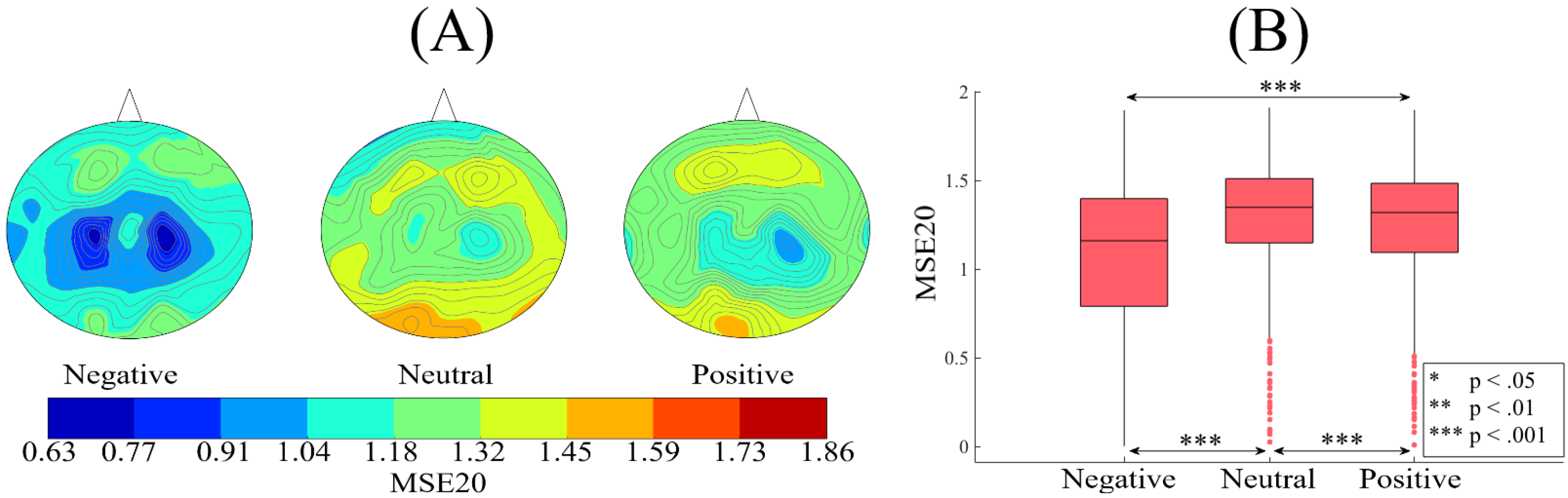 Brainsci 10 00527 g007