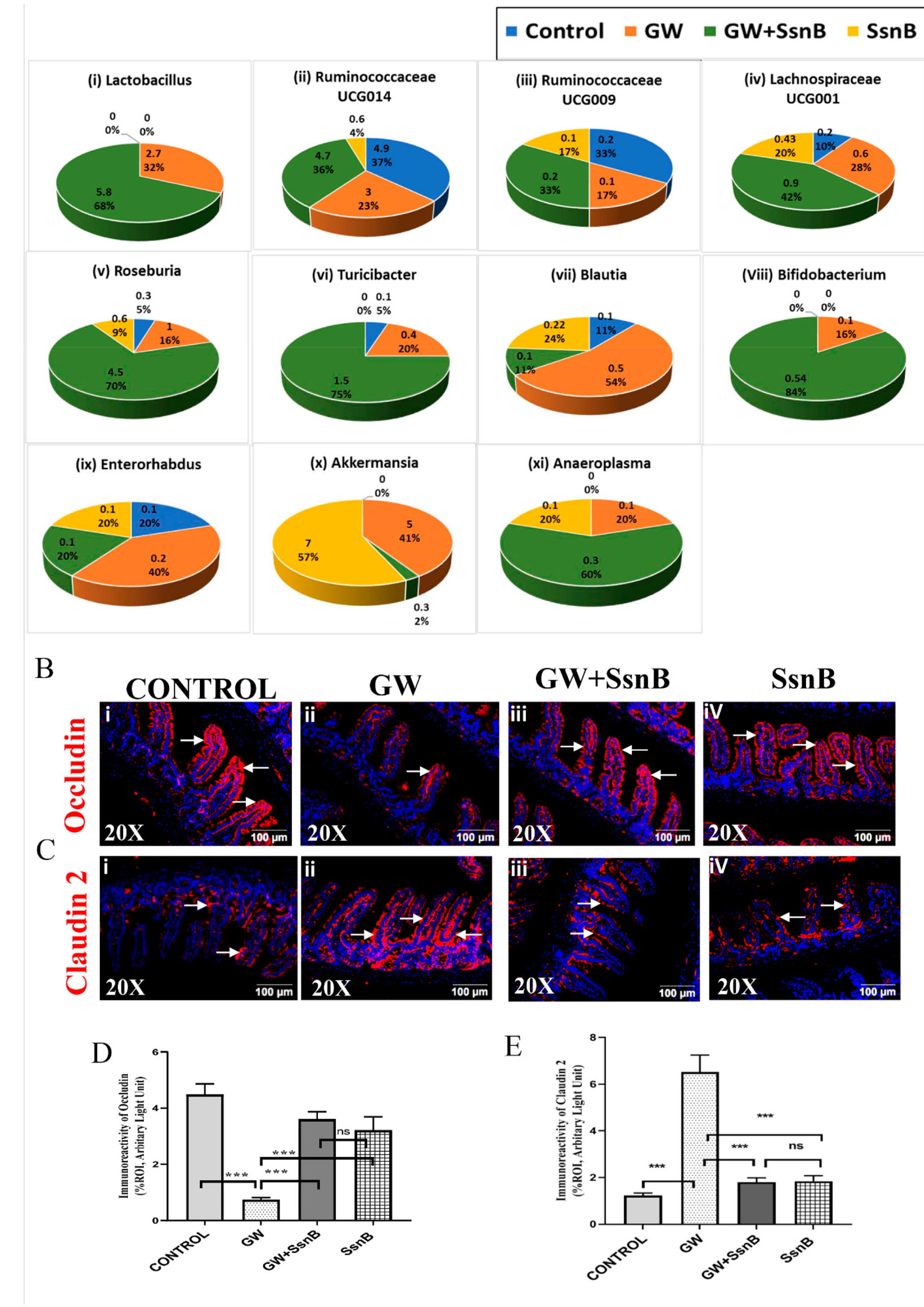 Brainsci 10 00532 g001