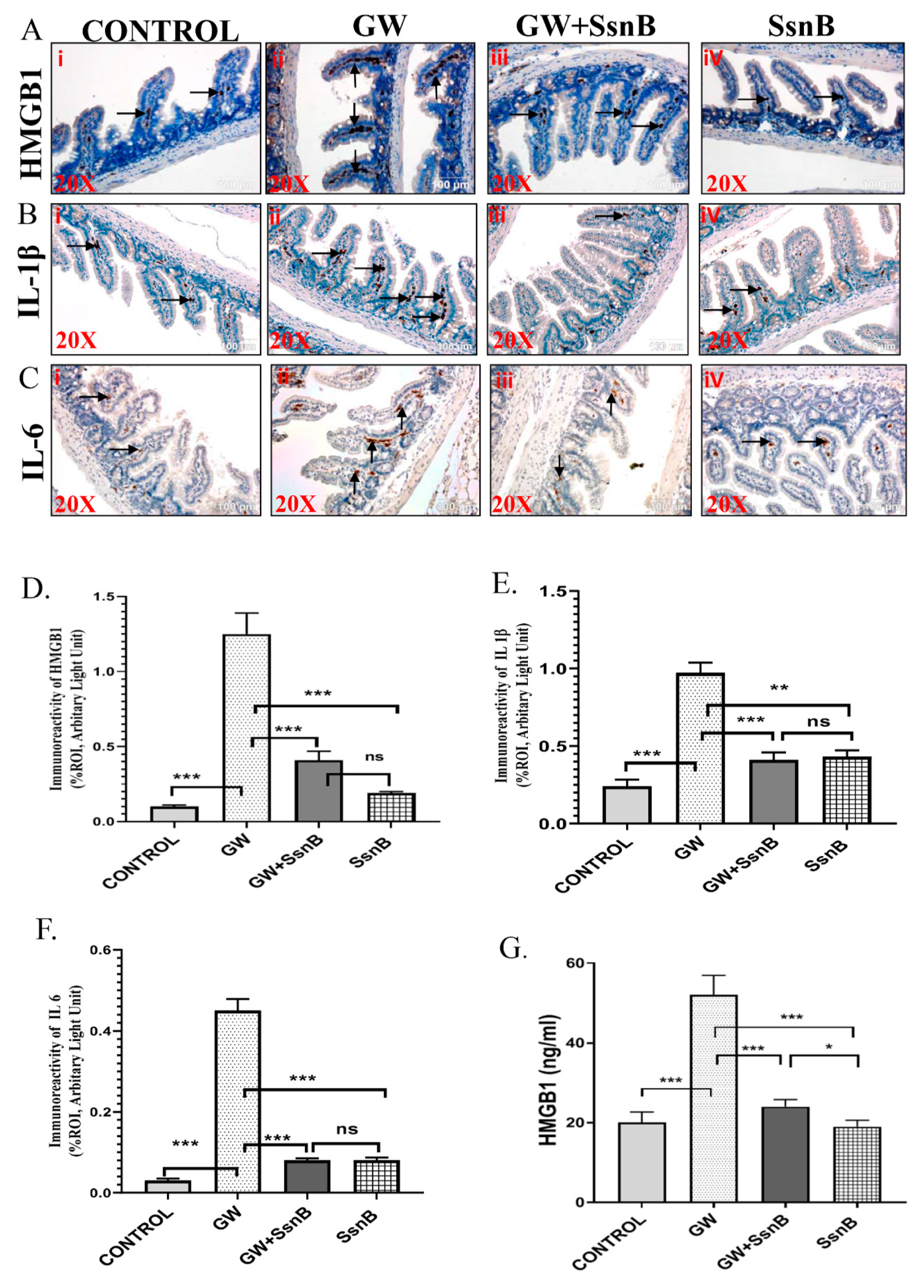 Brainsci 10 00532 g002