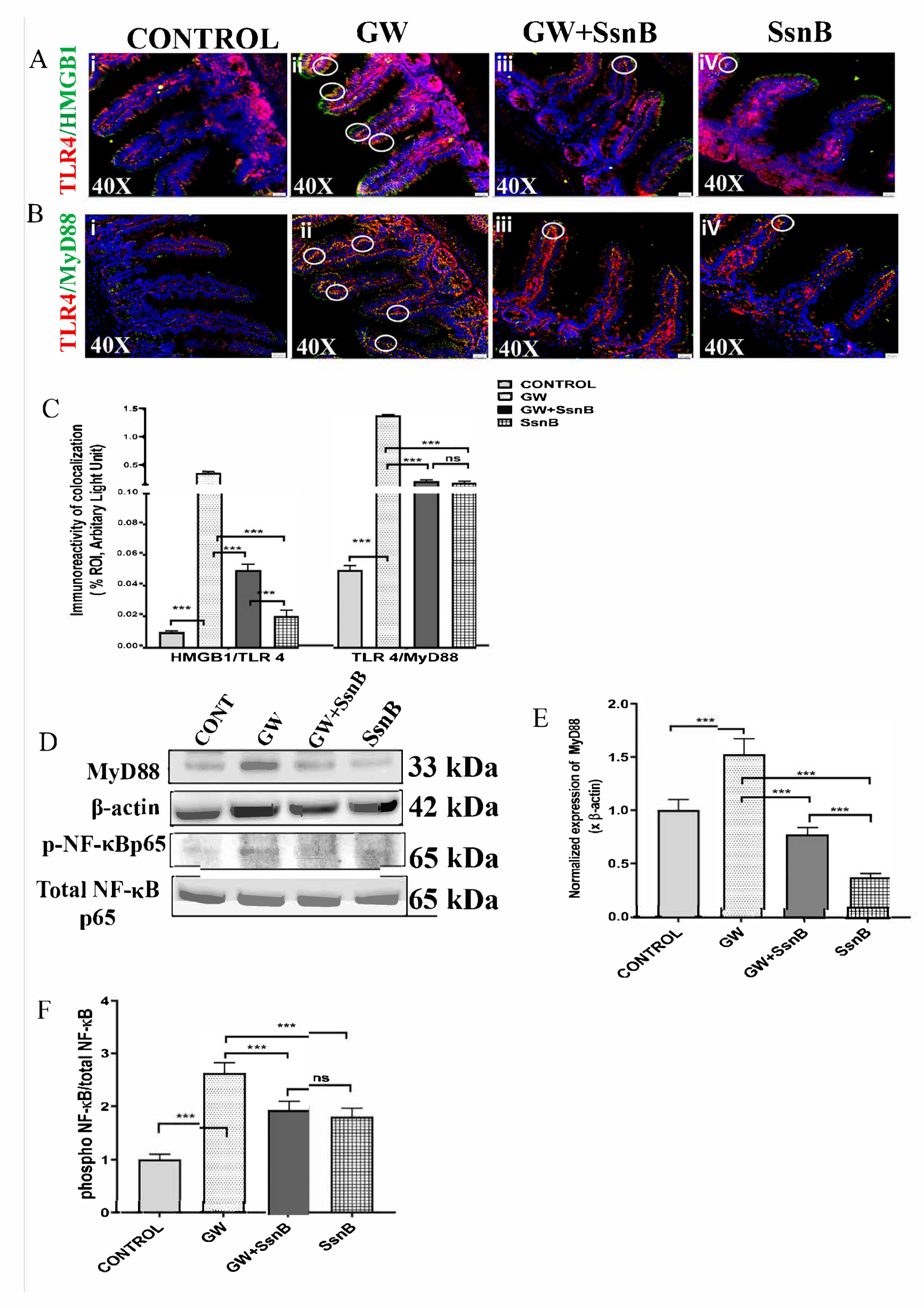 Brainsci 10 00532 g003