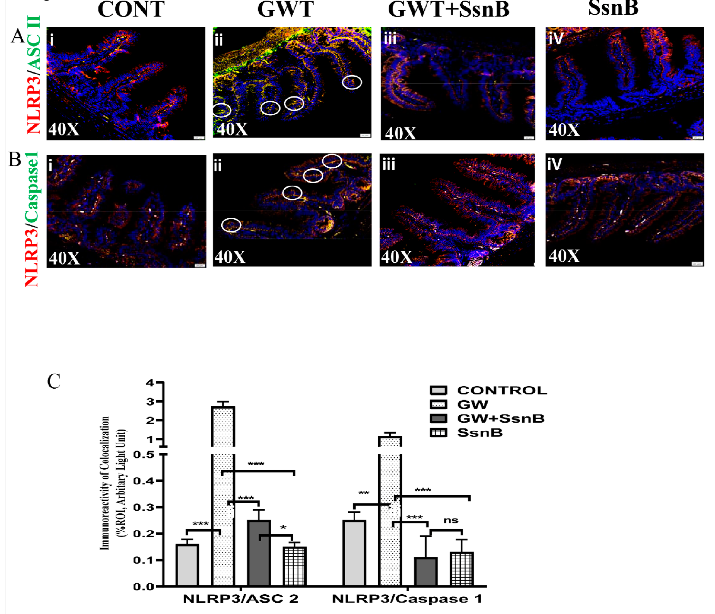 Brainsci 10 00532 g004