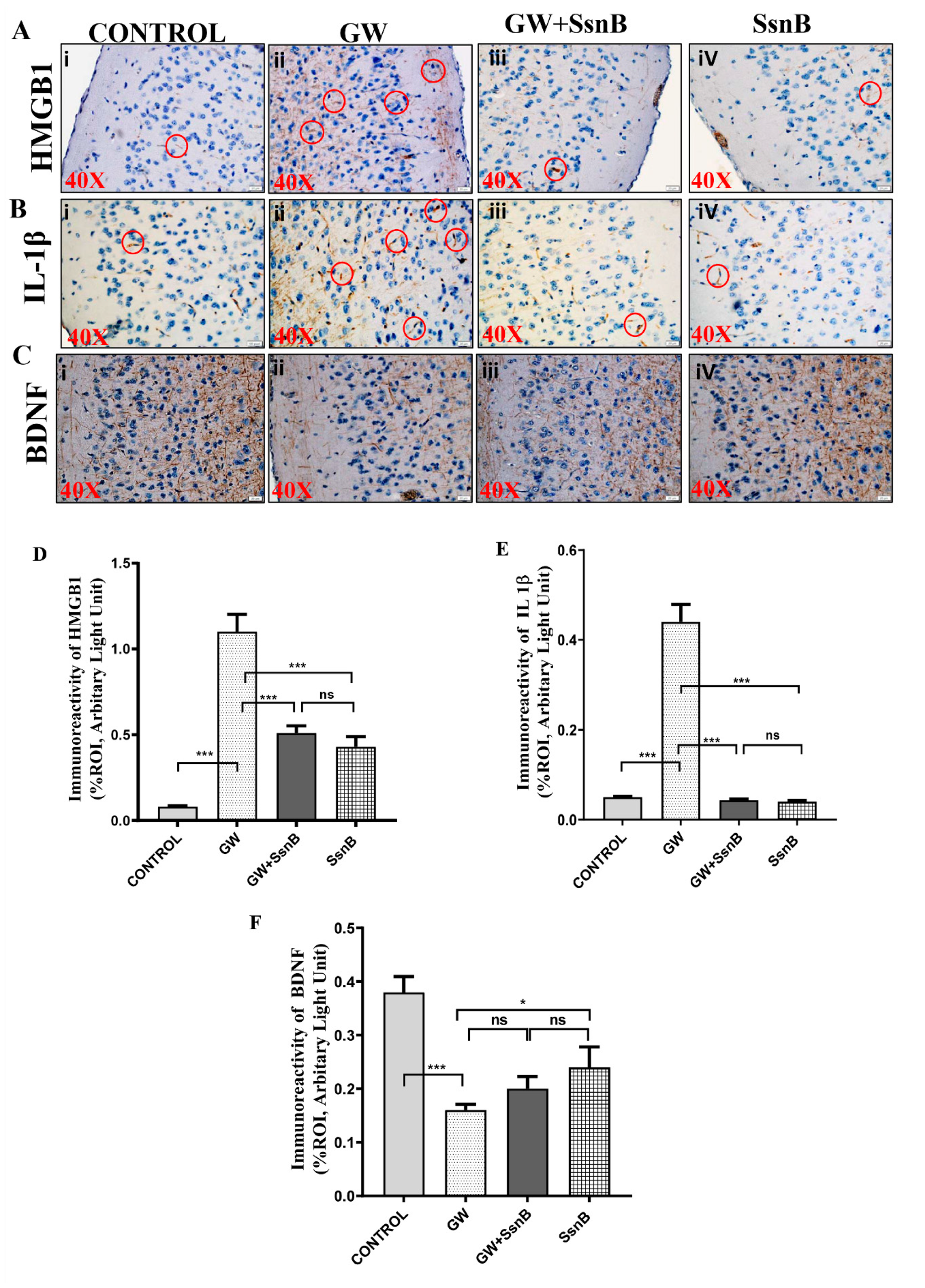 Brainsci 10 00532 g006