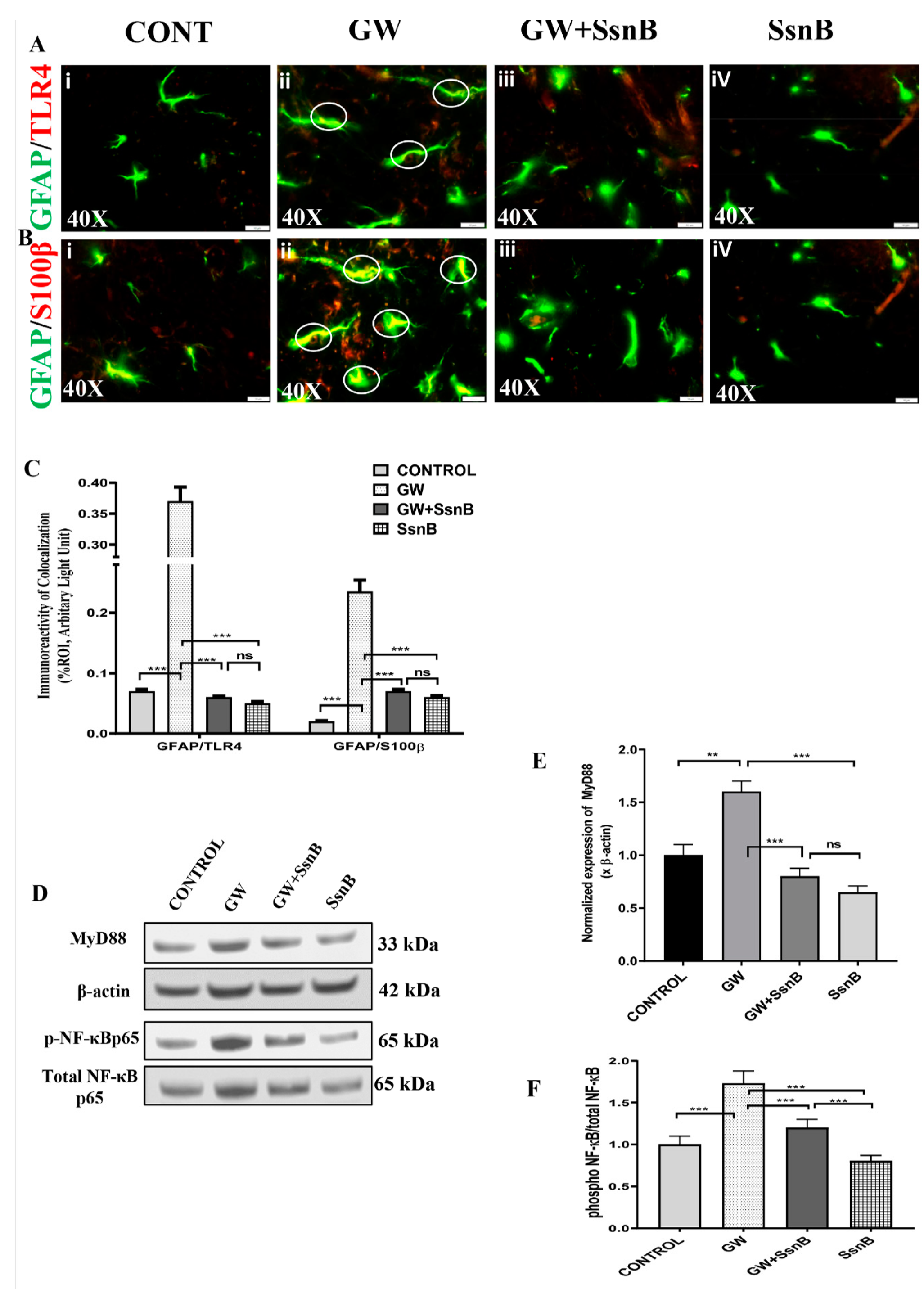 Brainsci 10 00532 g007