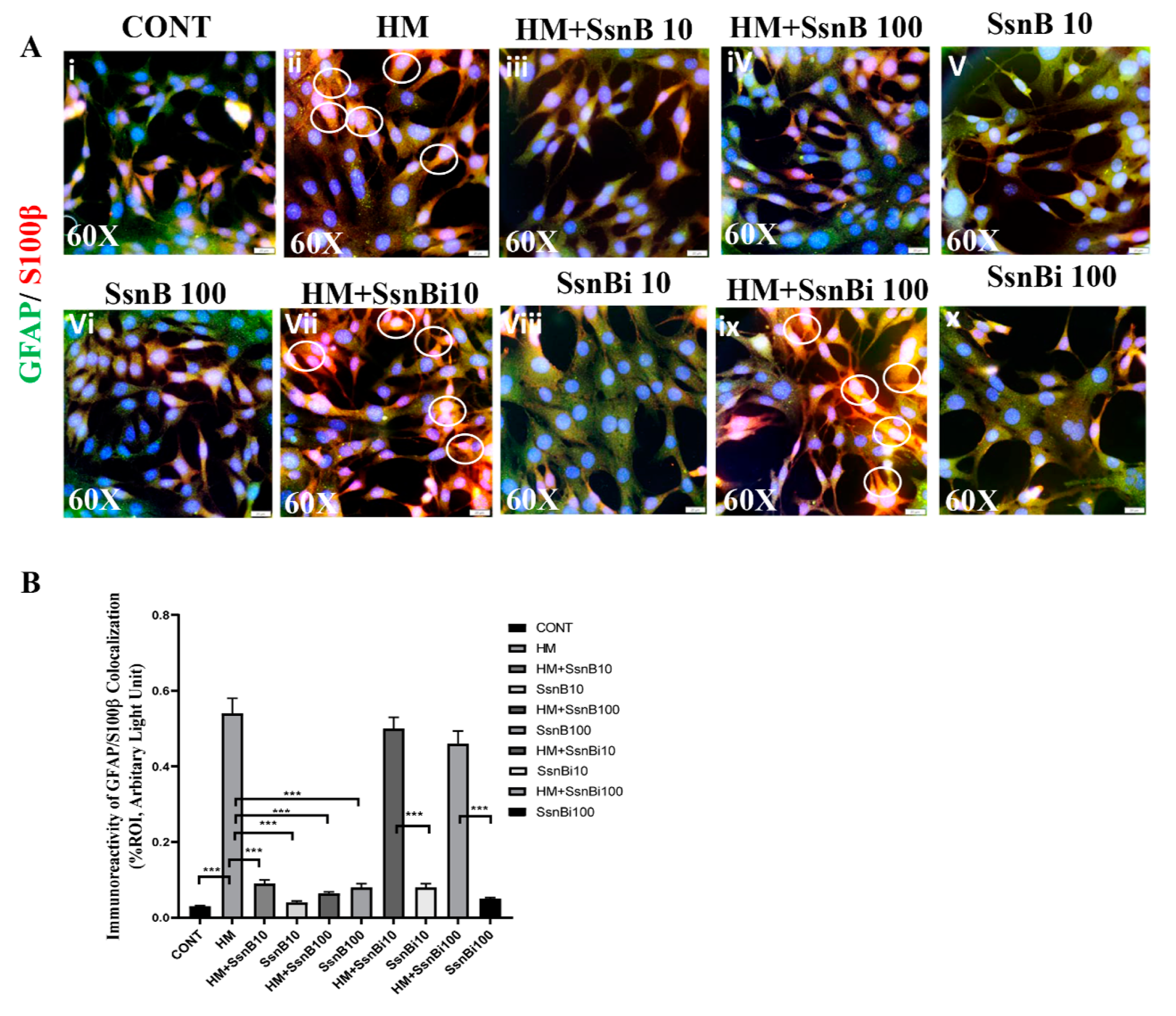 Brainsci 10 00532 g008
